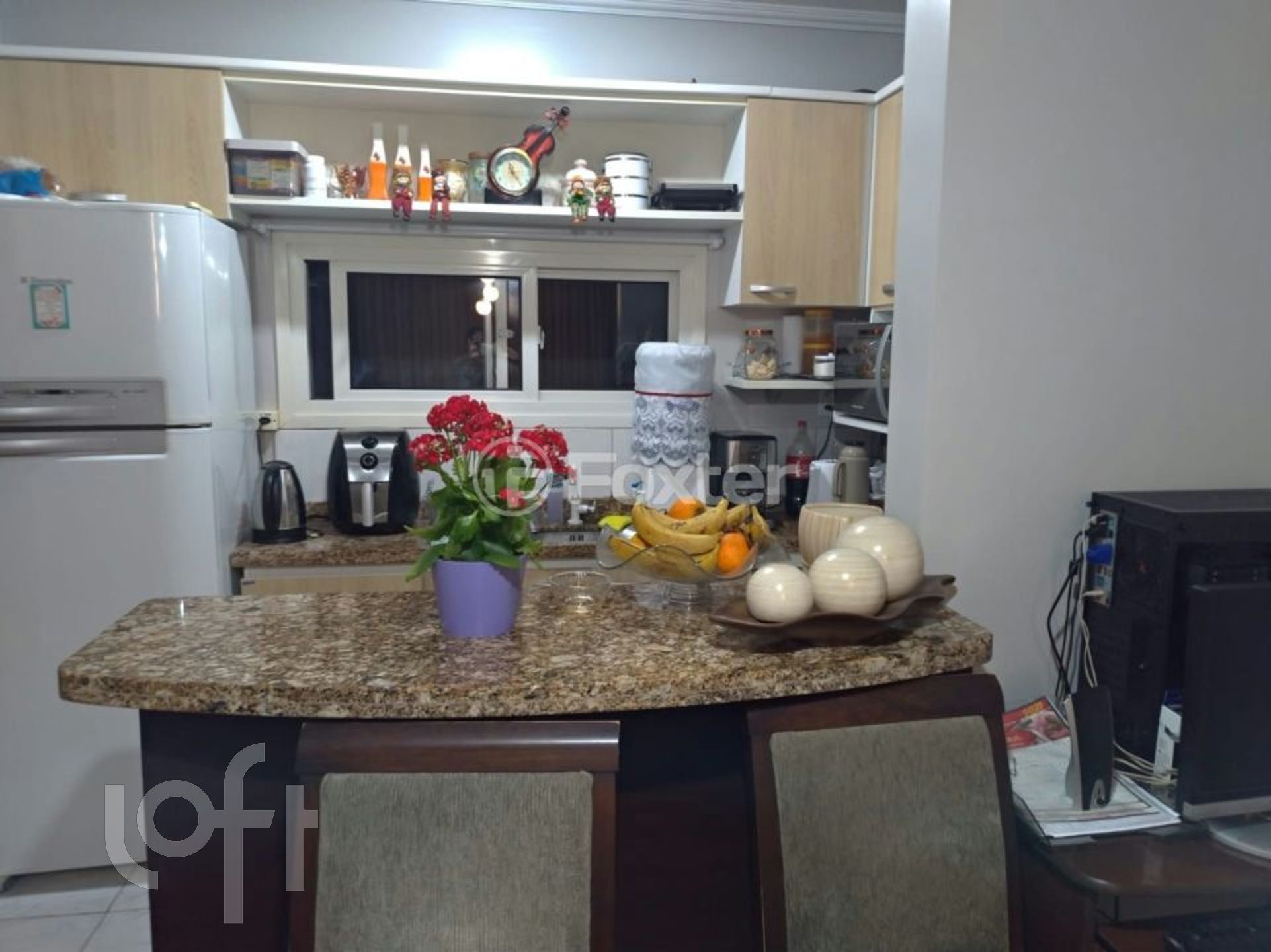 Imagem da propriedade 5