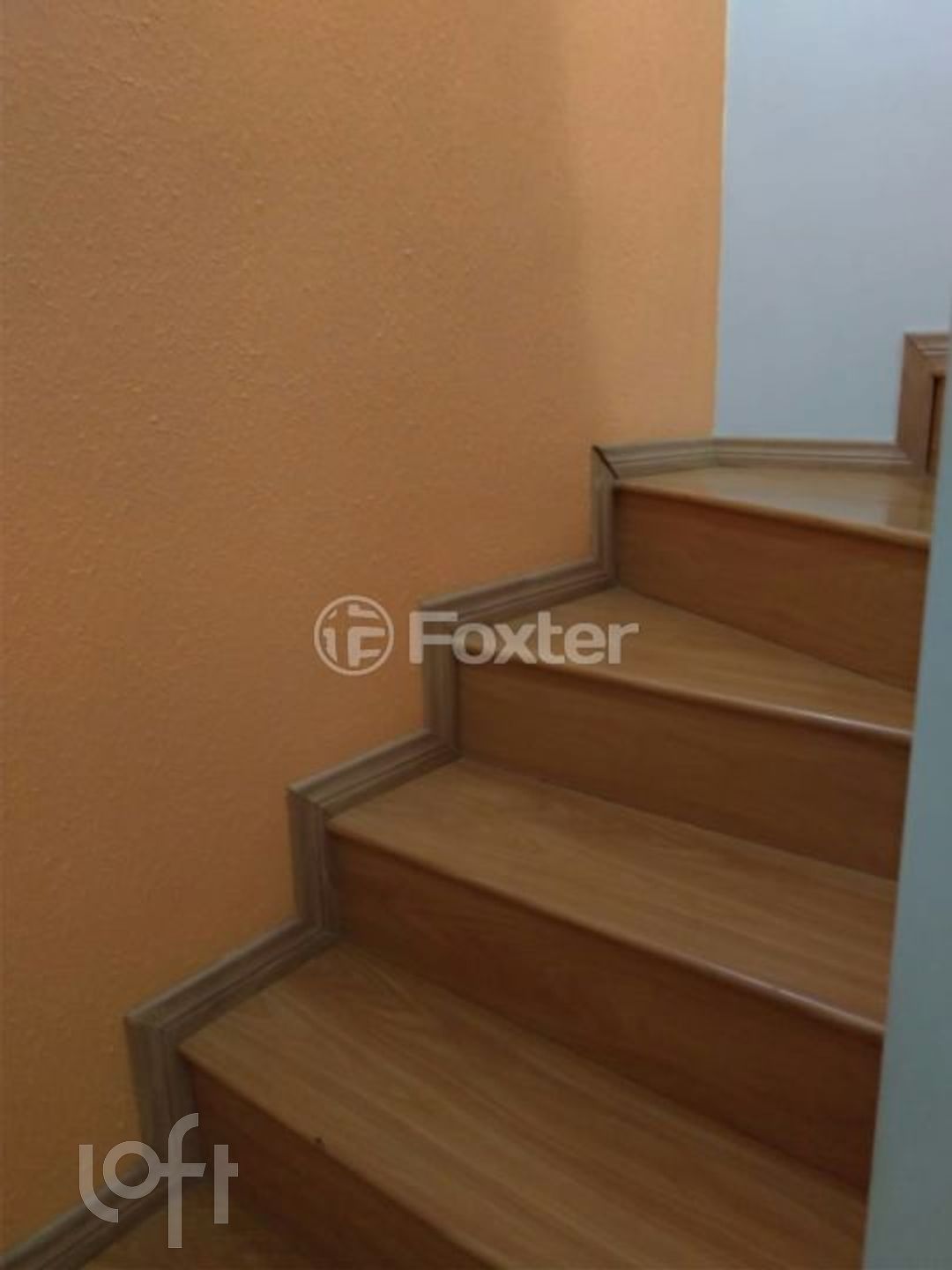 Imagem da propriedade 15