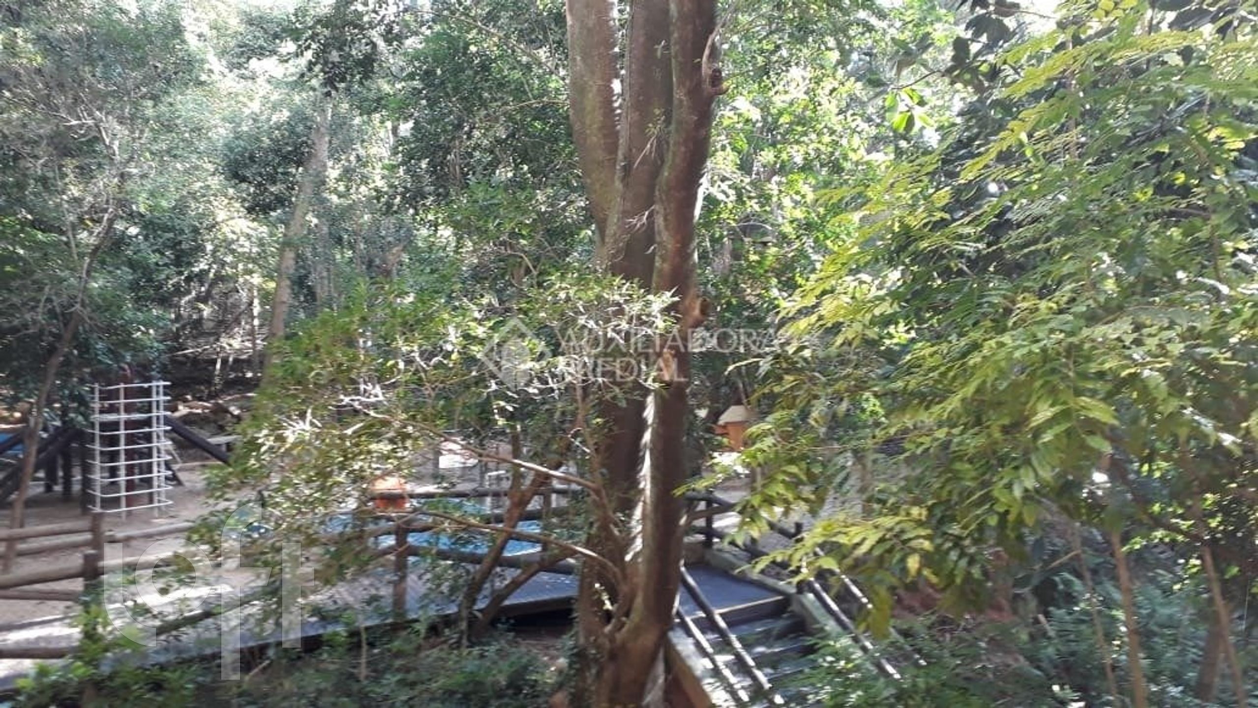 Imagem da propriedade 41