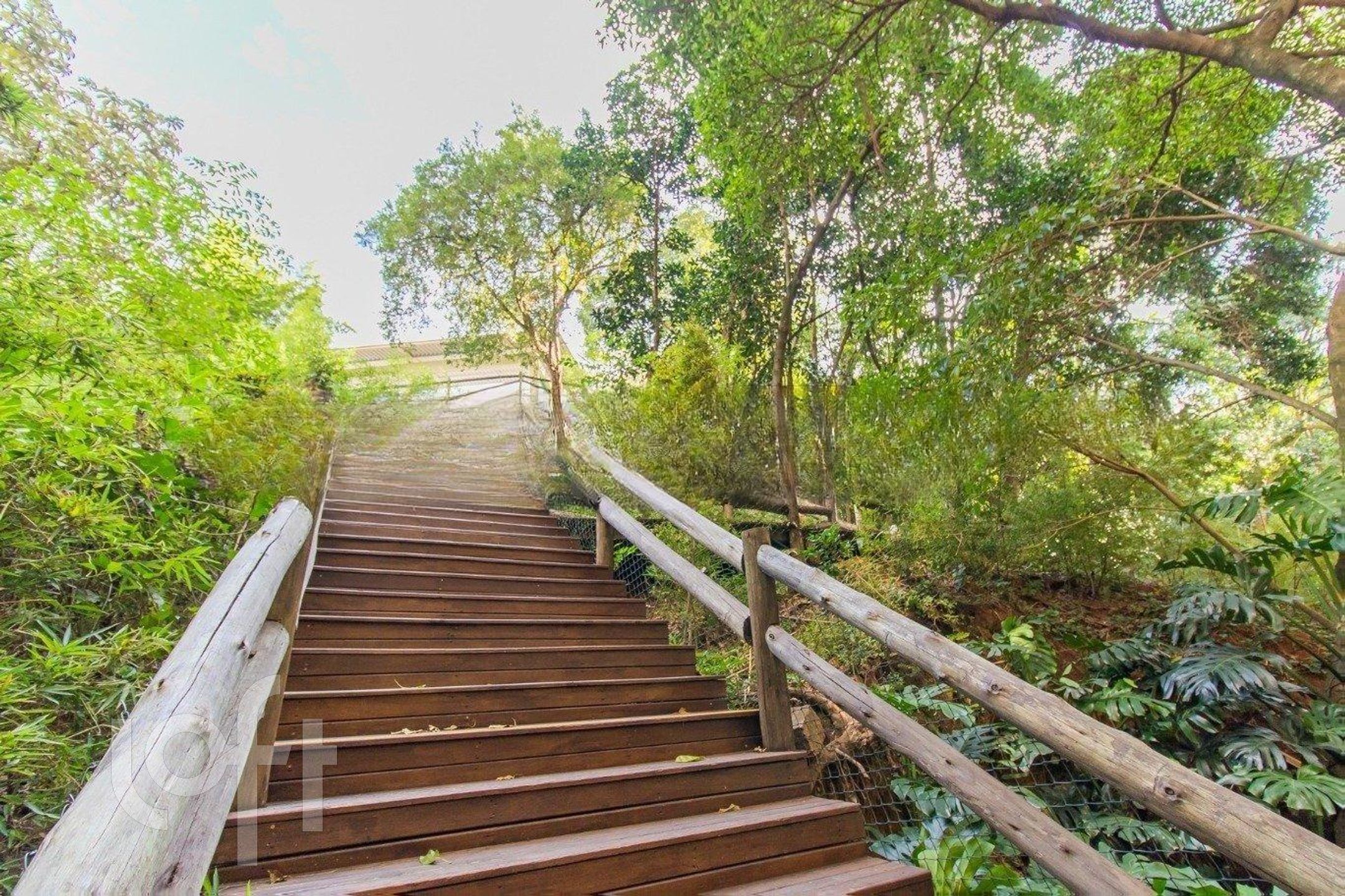 Imagem da propriedade 40