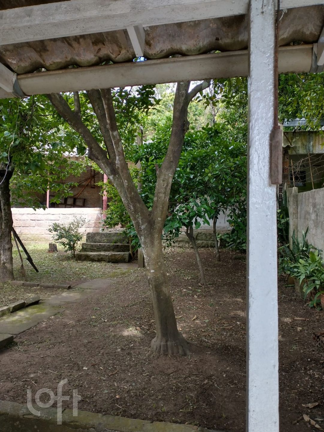 Imagem da propriedade 6