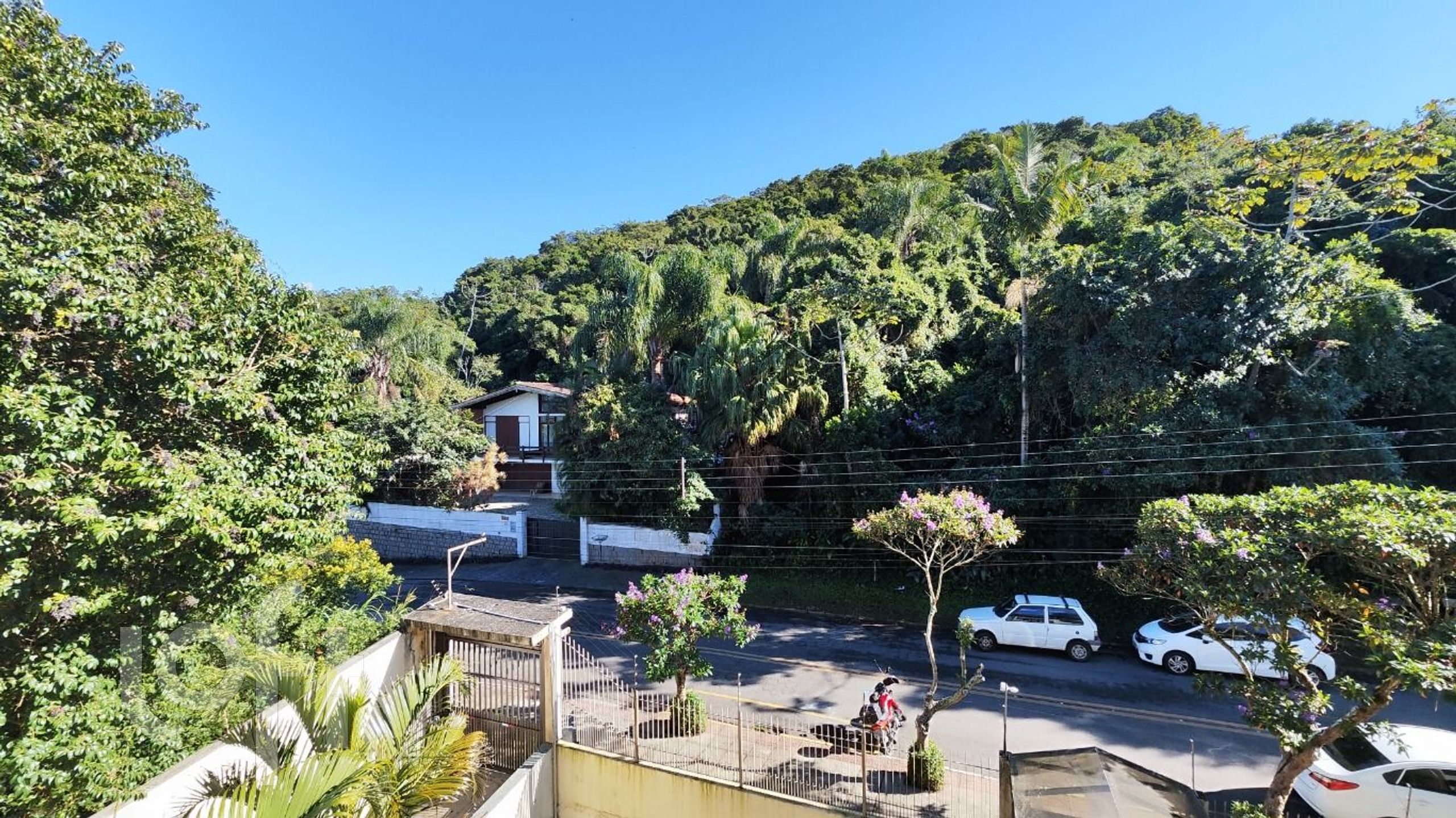 Imagem da propriedade 3