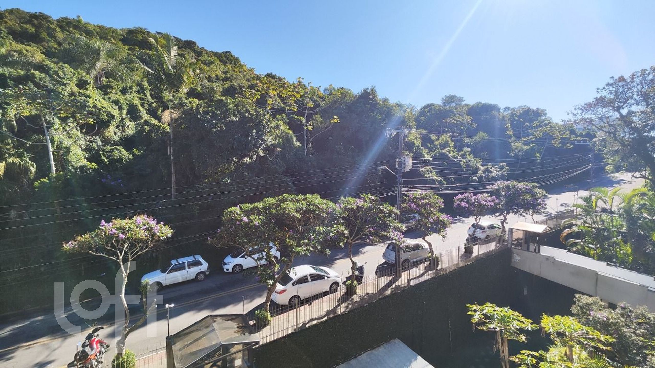Imagem da propriedade 4