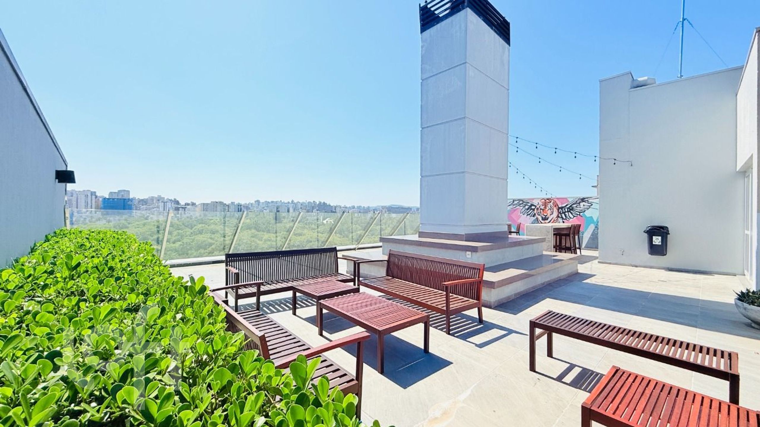 Imagem da propriedade 16