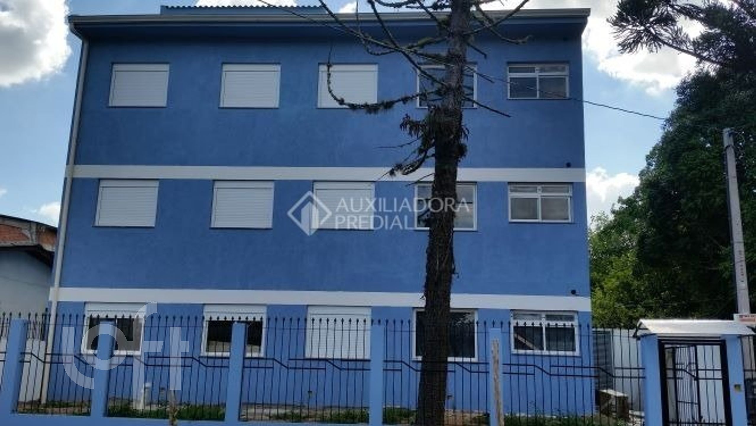 Imagem da propriedade 11