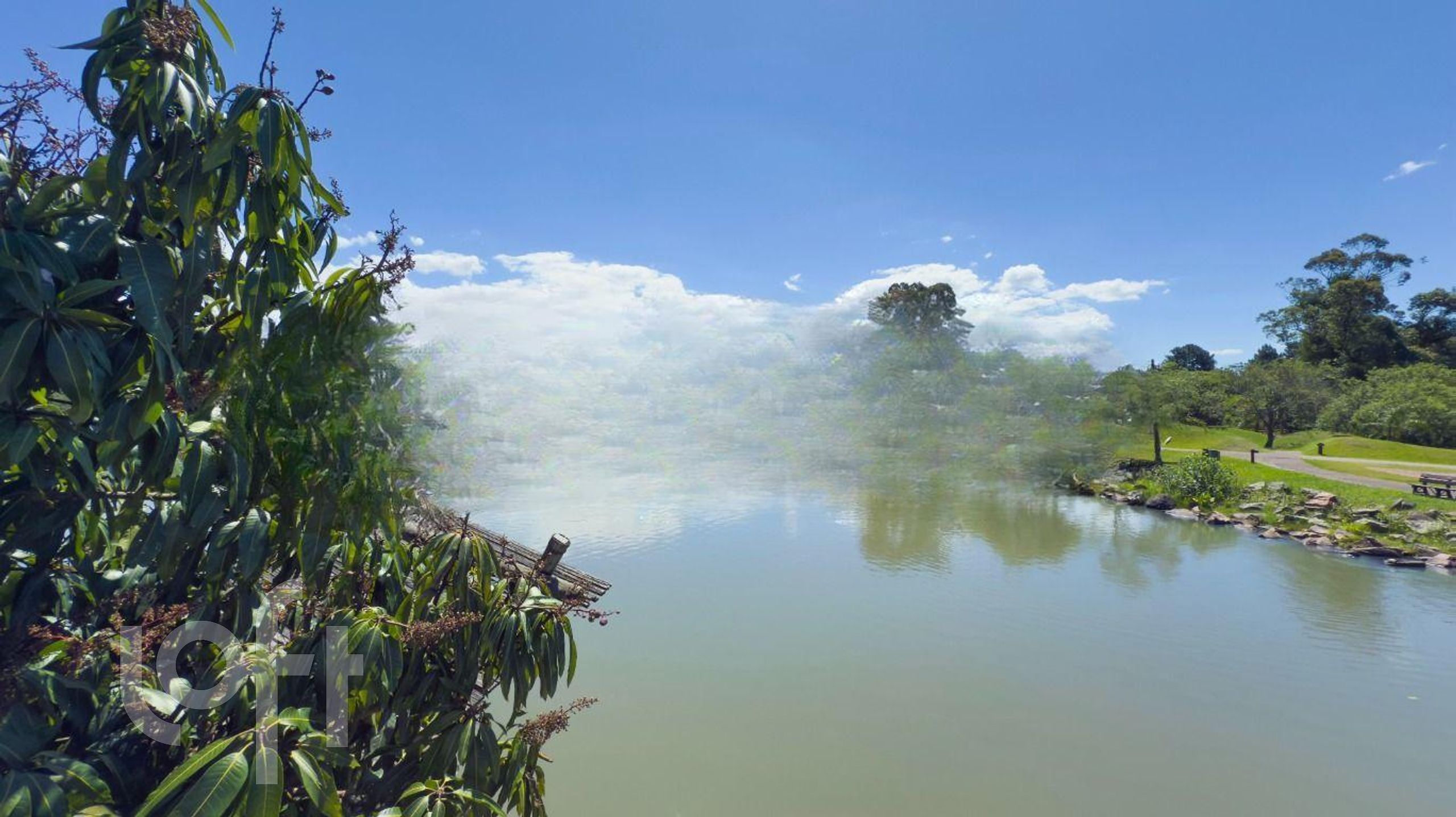 Imagem da propriedade 27