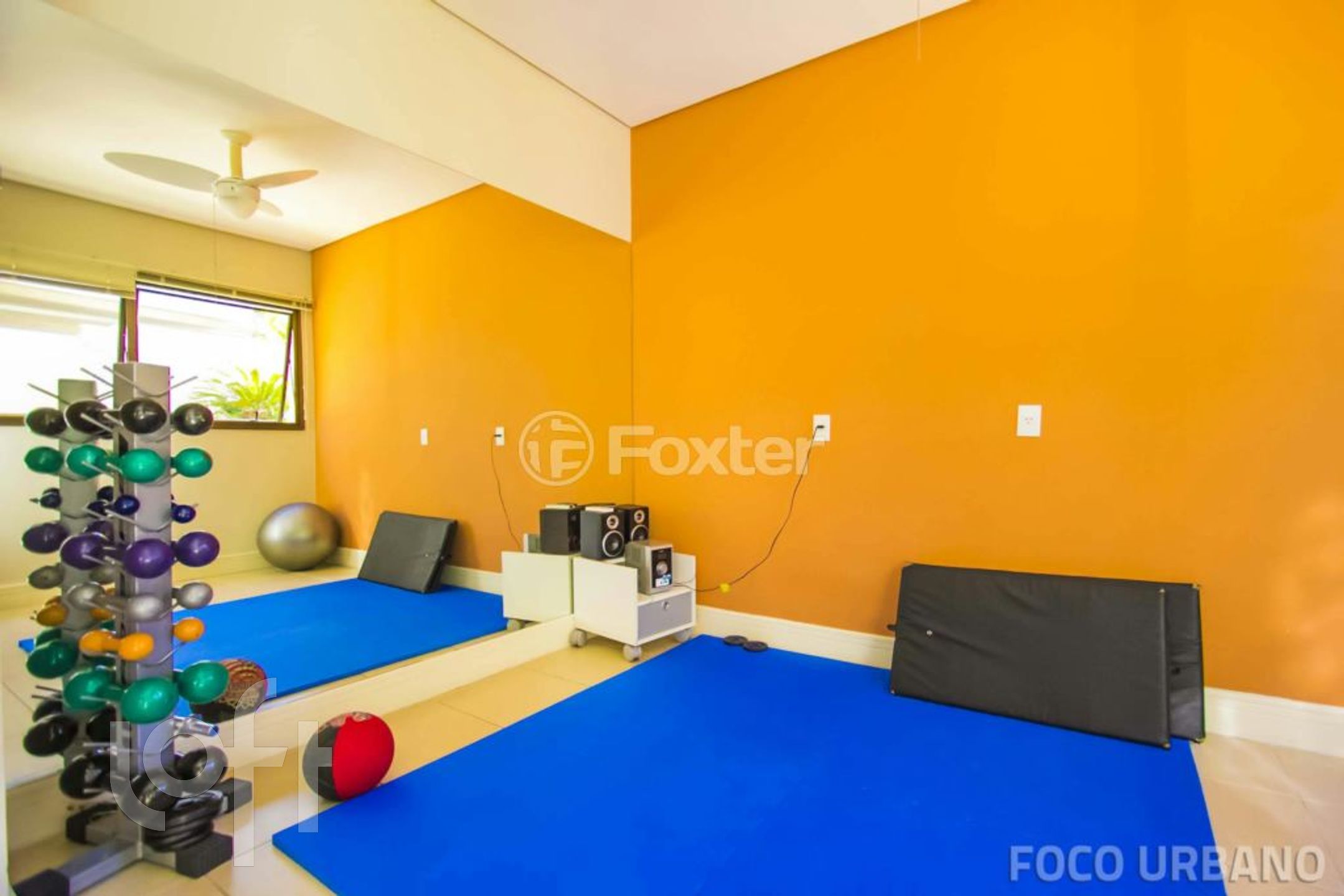 Imagem da propriedade 36