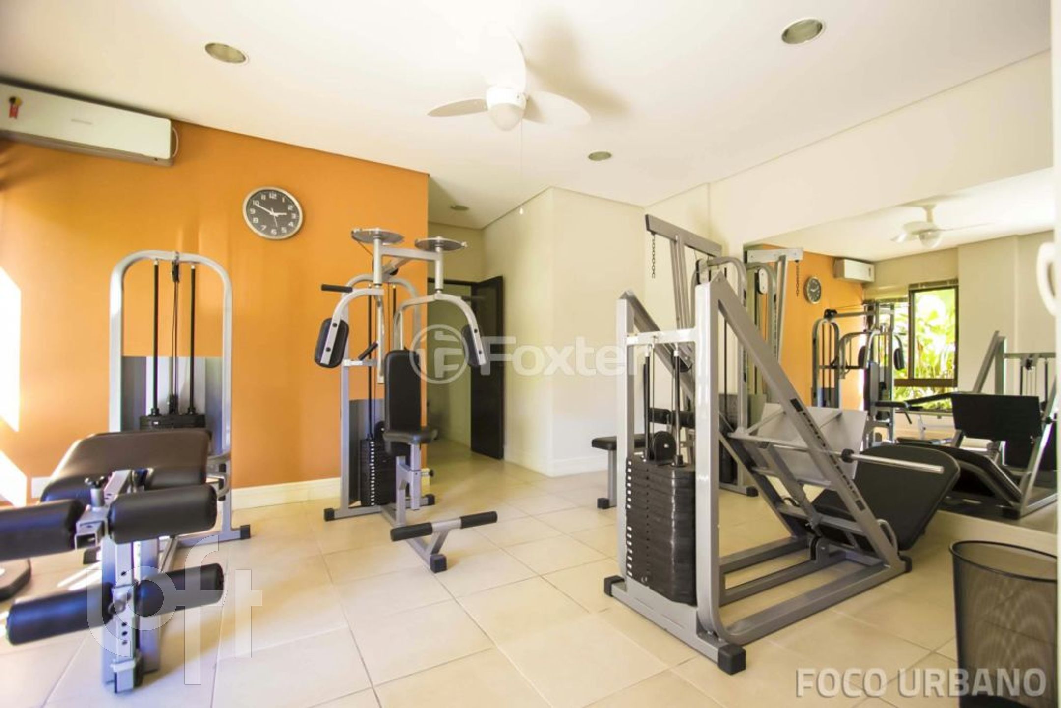 Imagem da propriedade 35