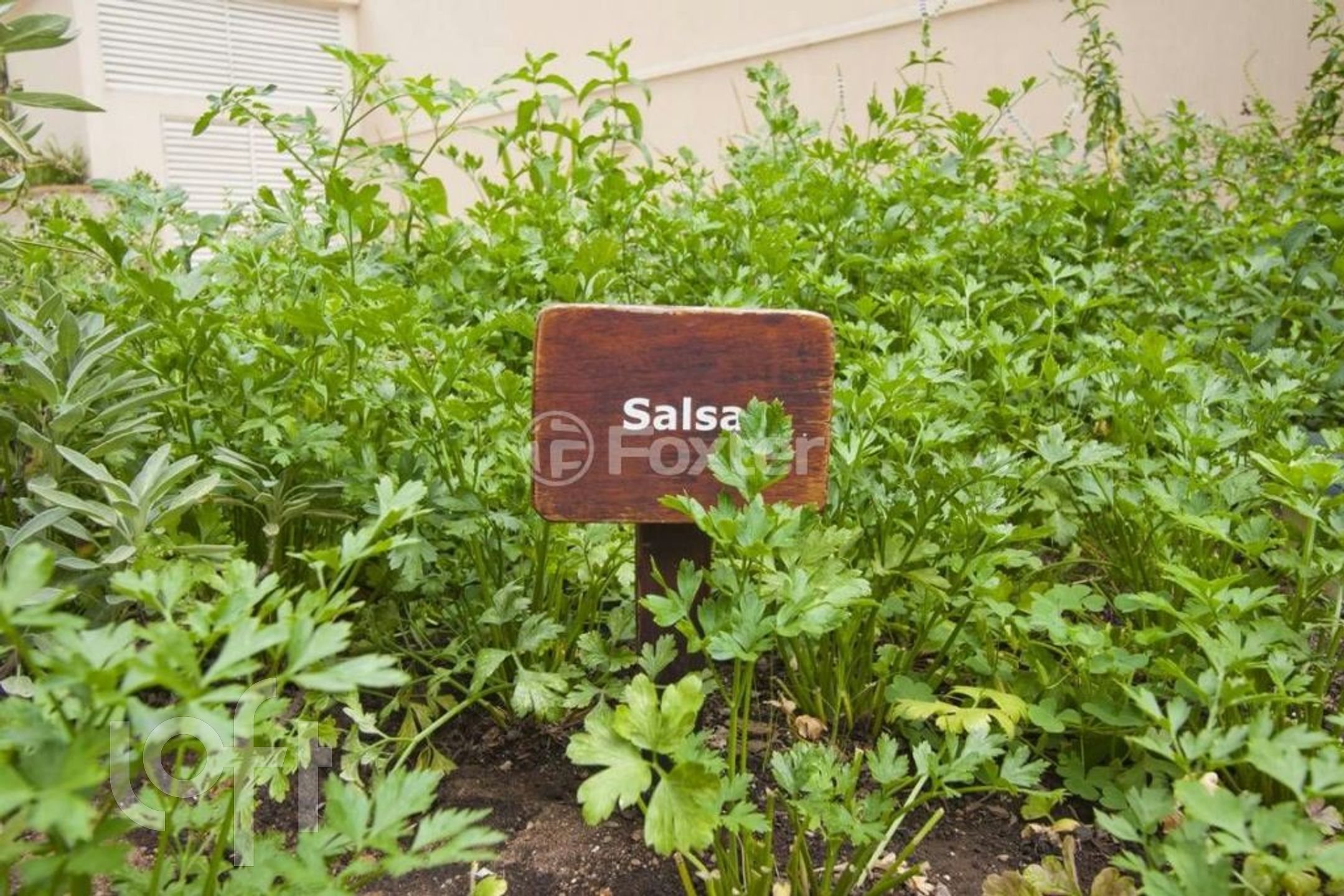 Imagem da propriedade 39