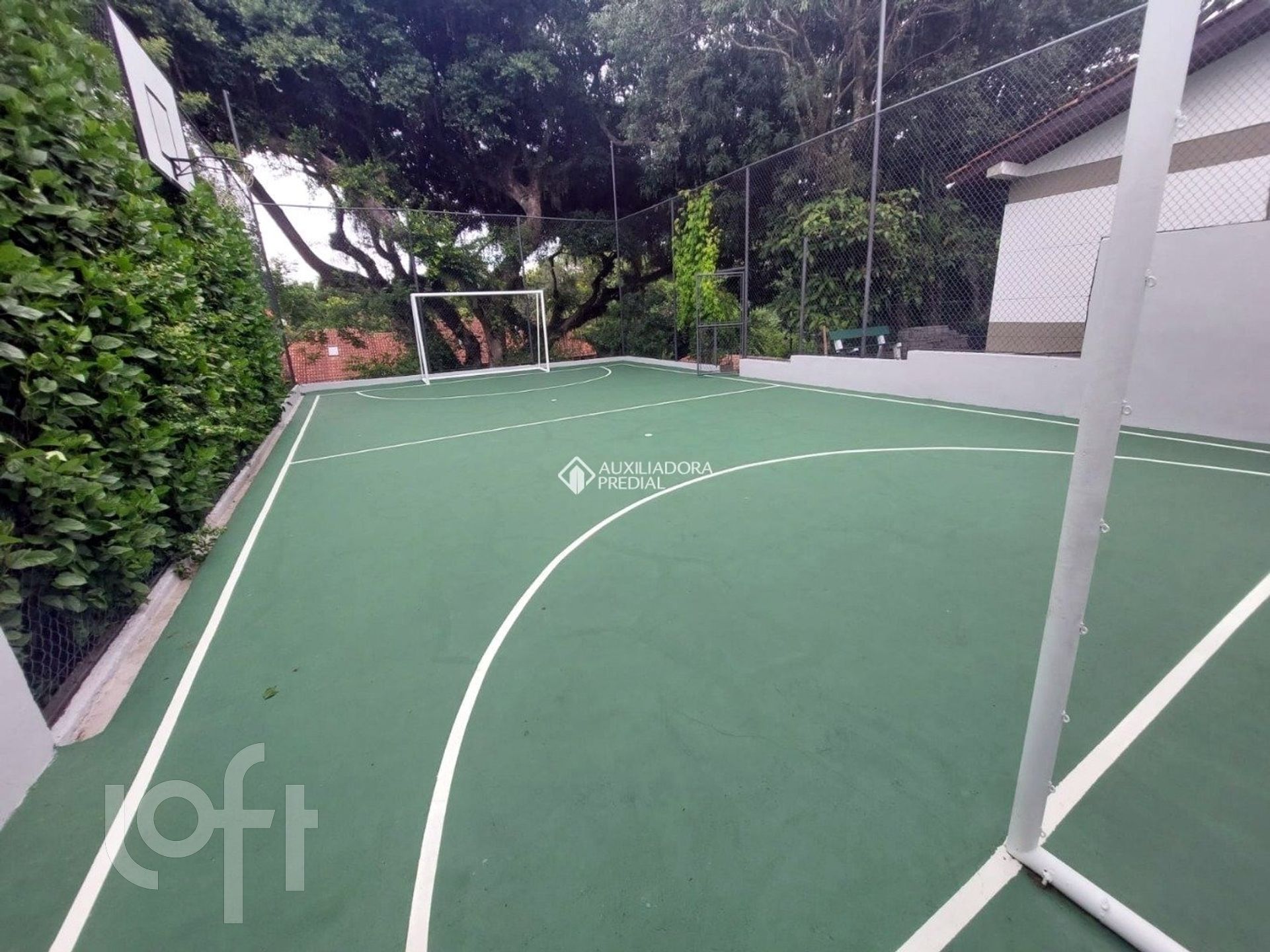 Imagem da propriedade 50