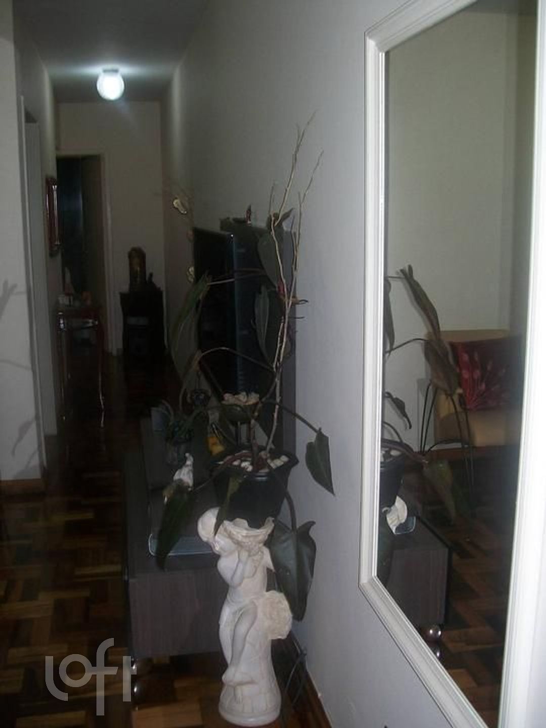 Imagem da propriedade 8