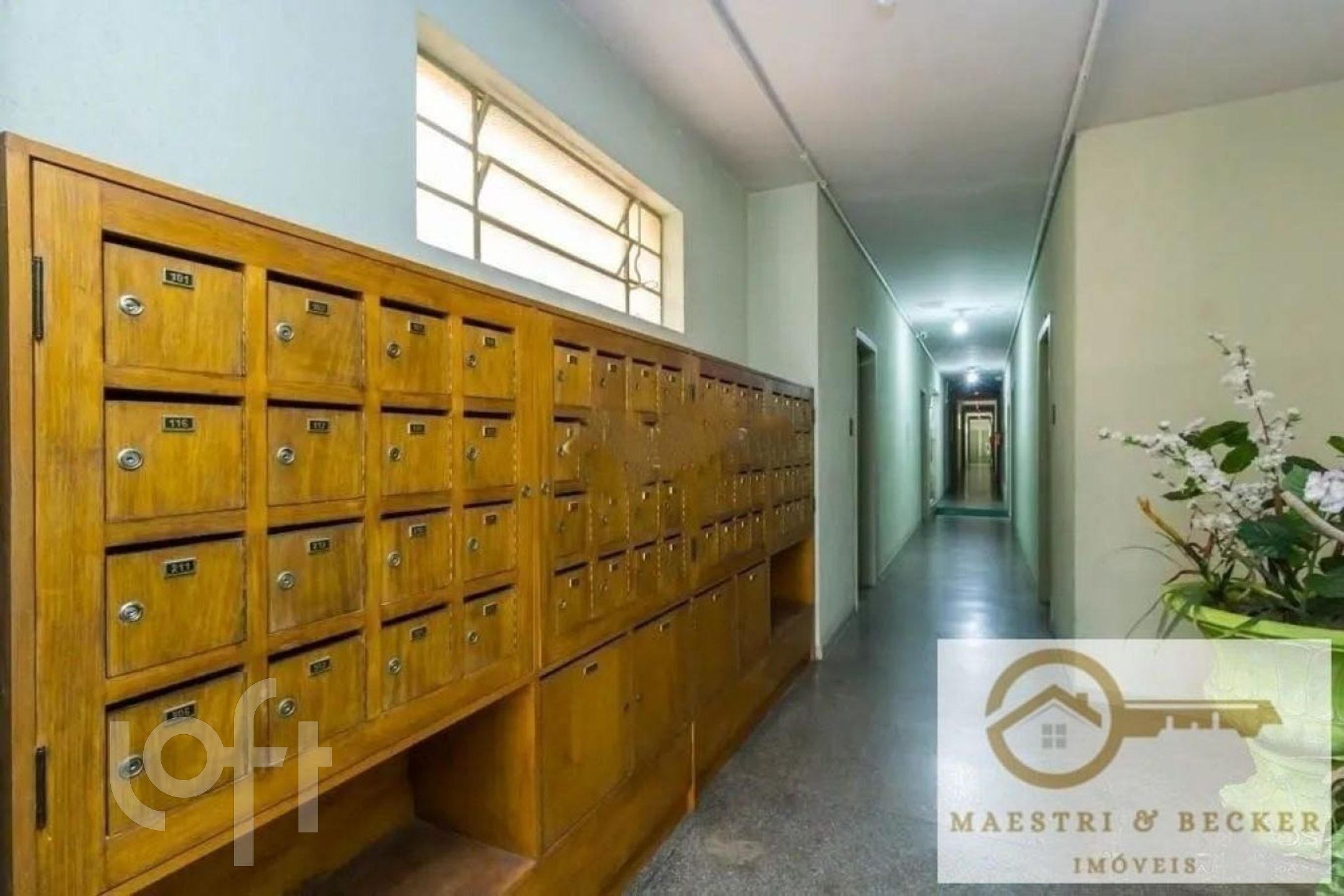 Imagem da propriedade 13