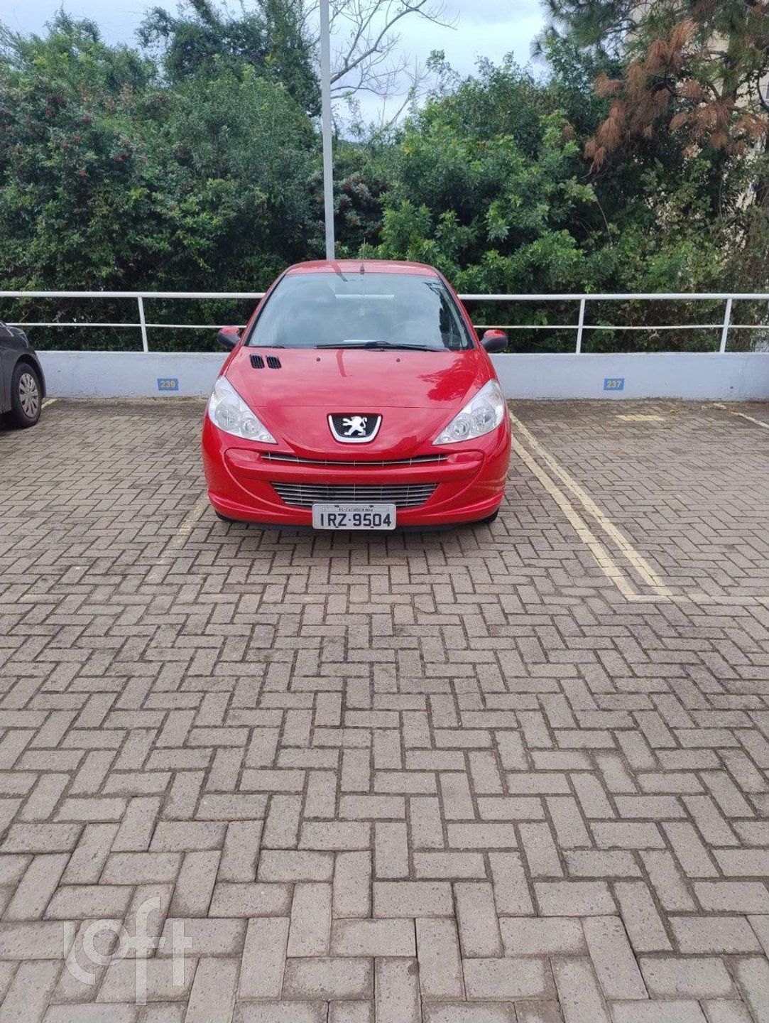 Imagem da propriedade 36