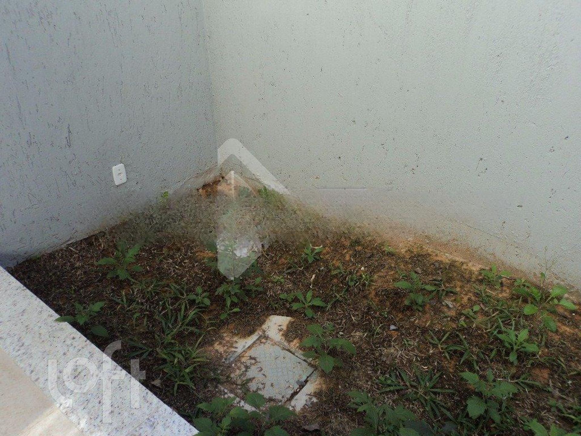 Imagem da propriedade 8