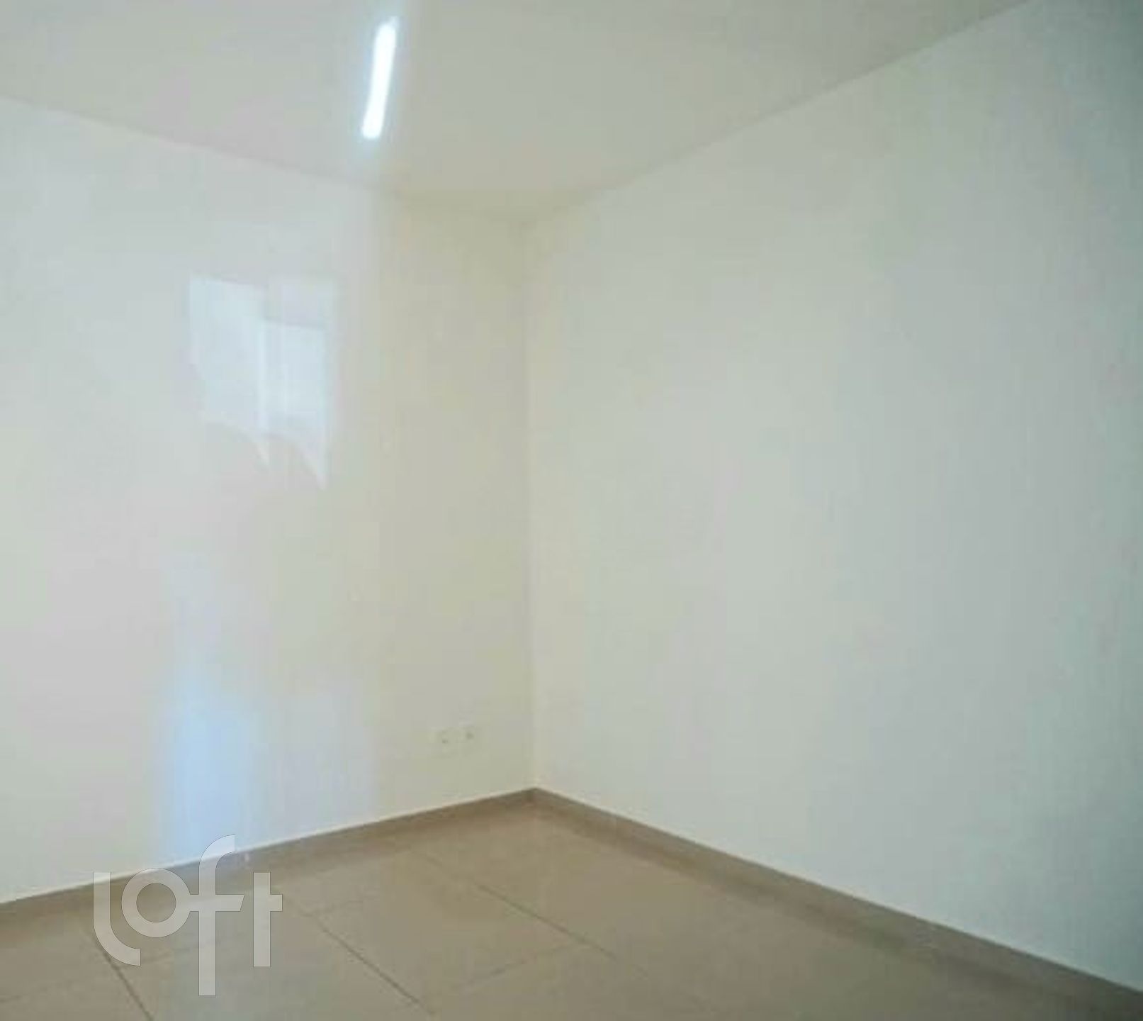 Imagem da propriedade 6