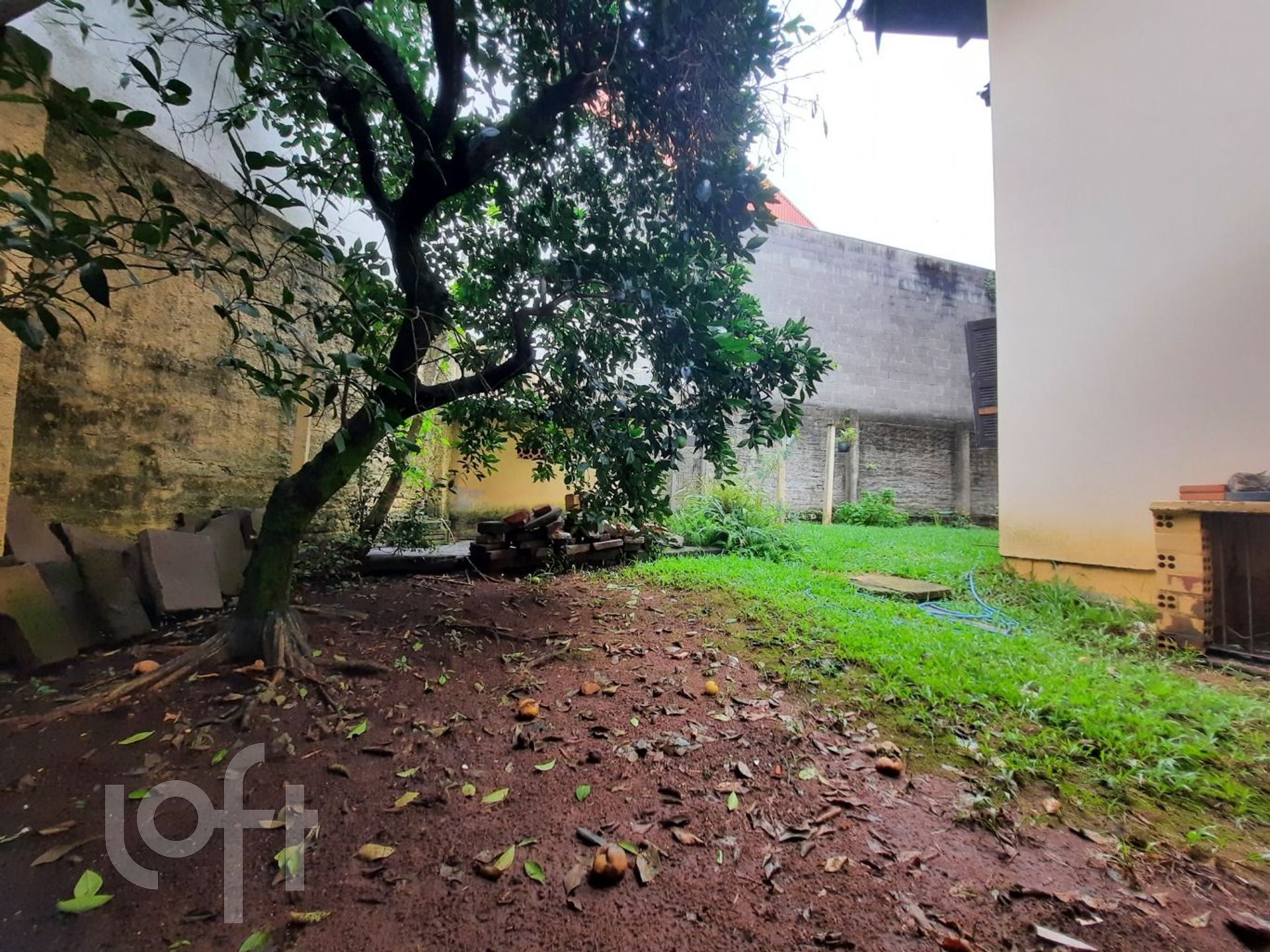 Imagem da propriedade 37