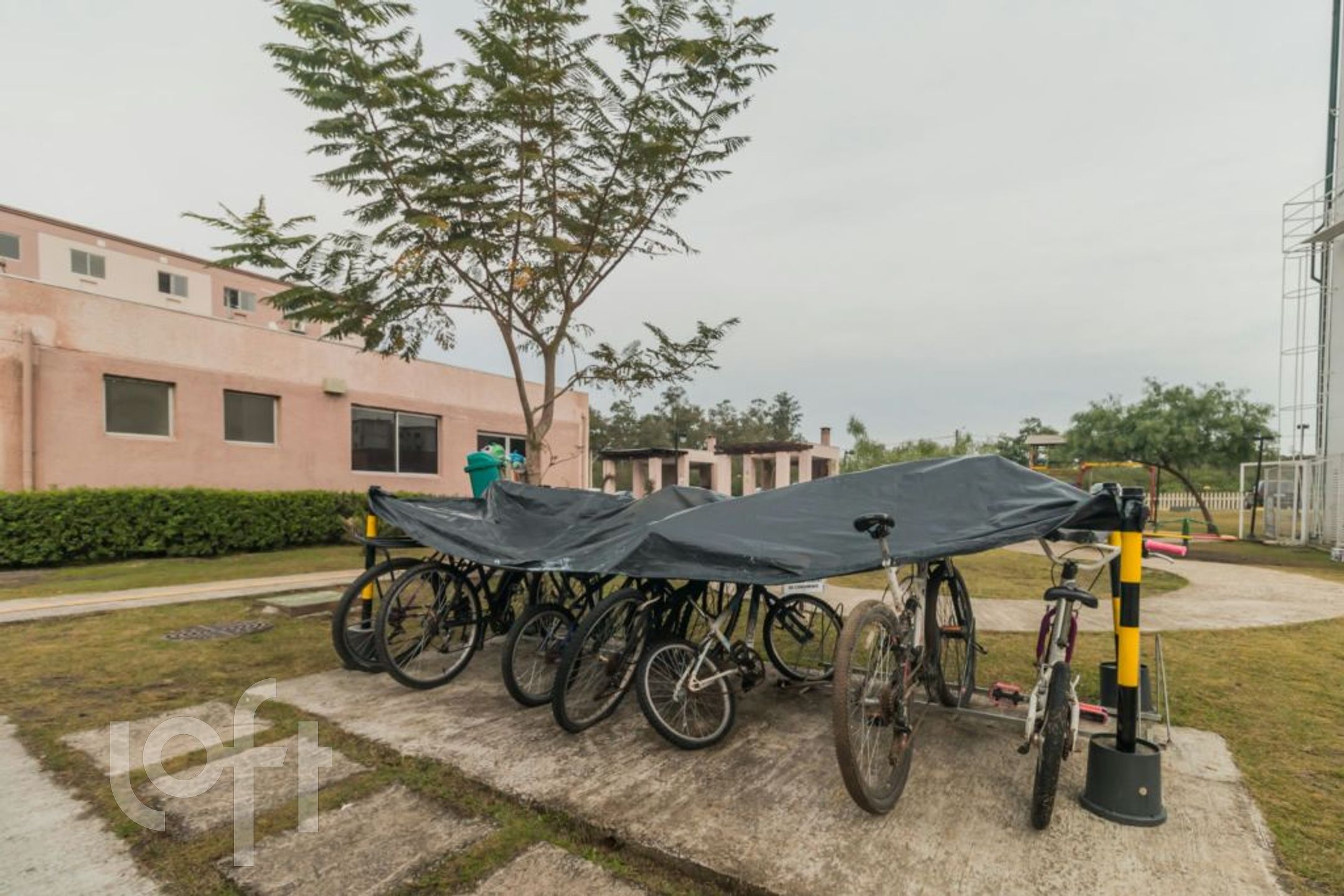 Imagem da propriedade 21