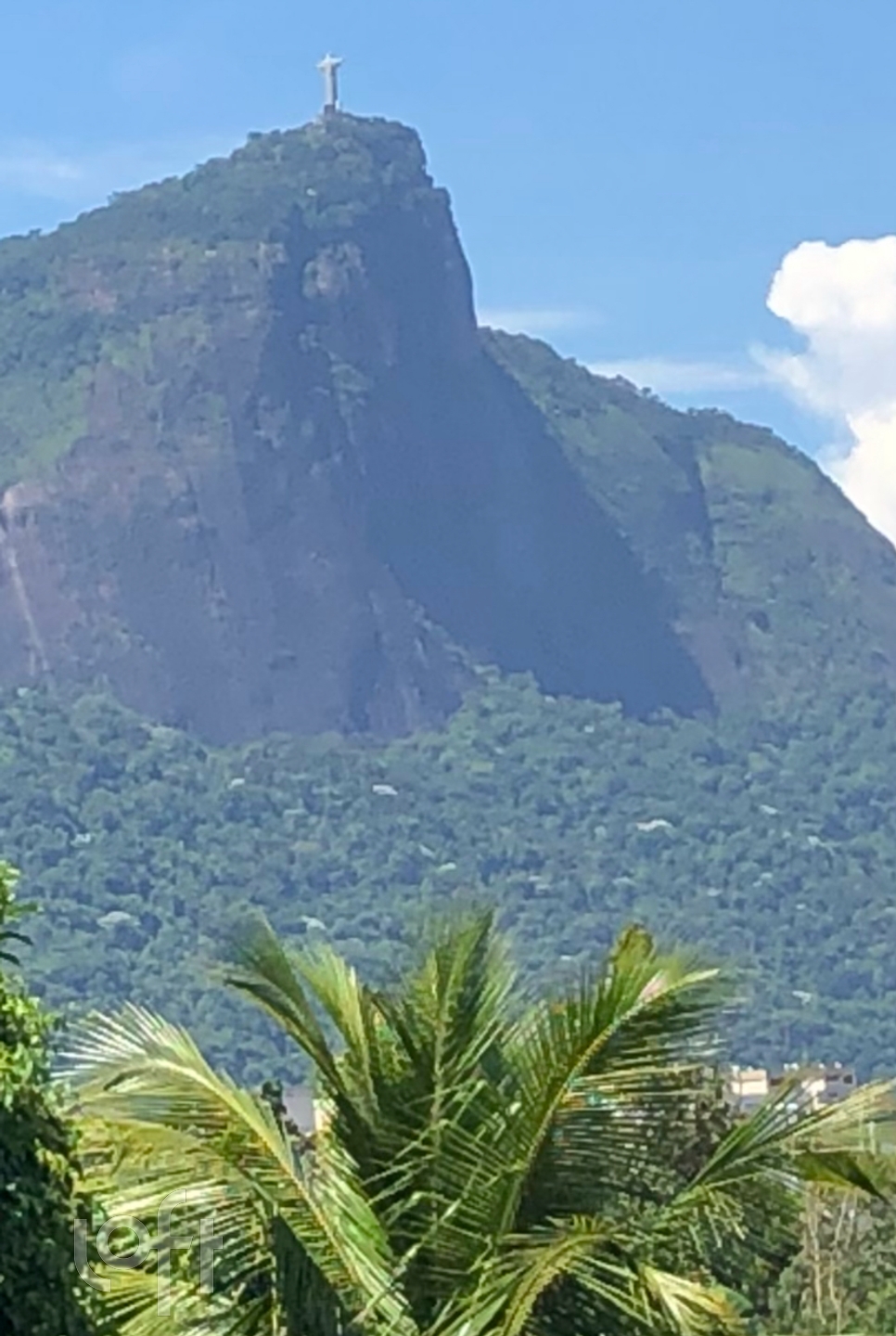 Imagem da propriedade 16