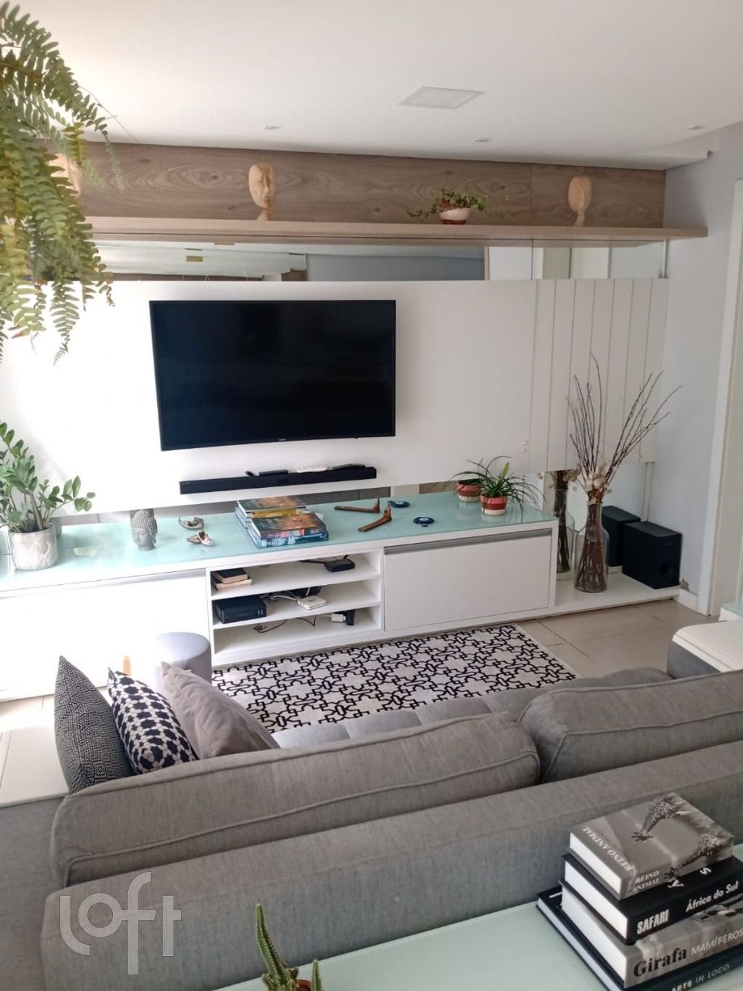 Imagem da propriedade 5