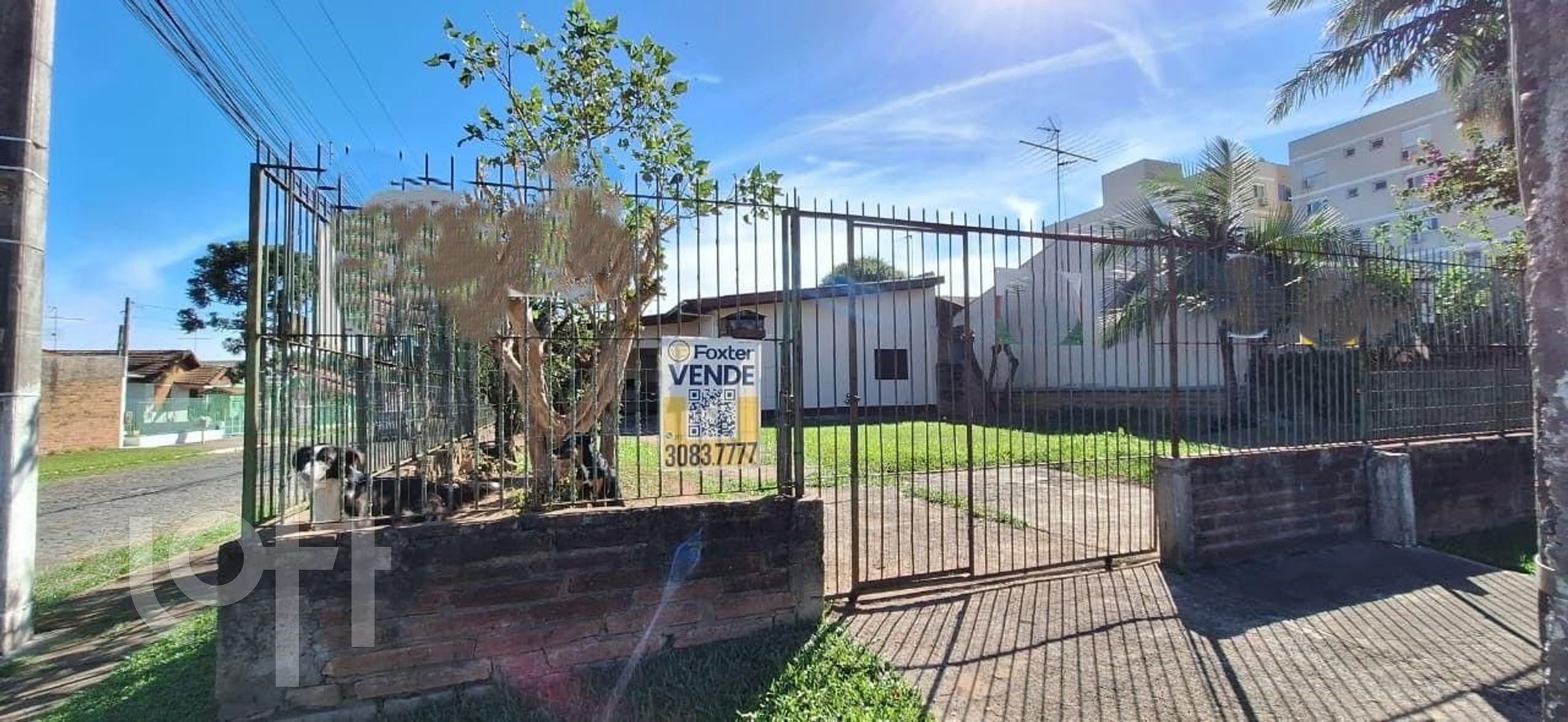 Imagem da propriedade 3