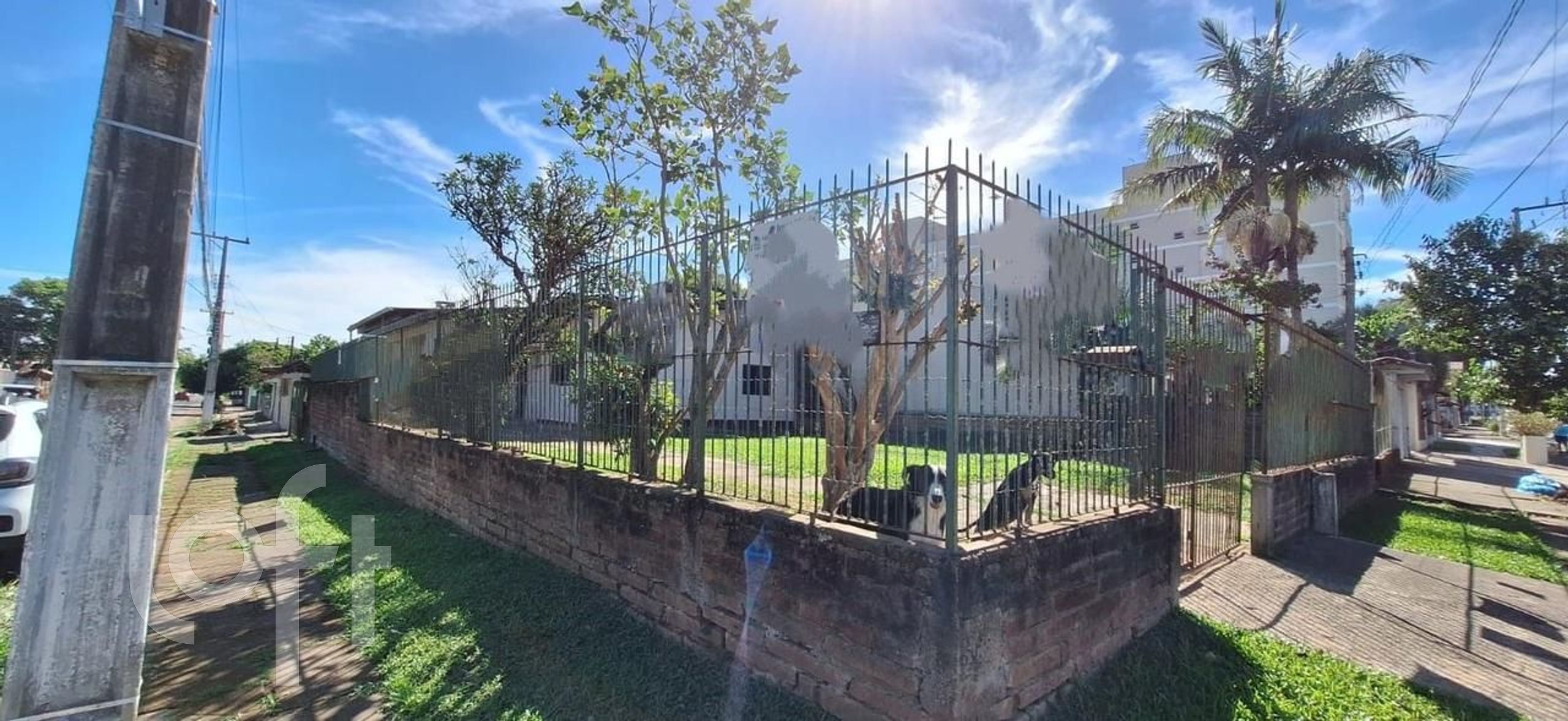 Imagem da propriedade 4