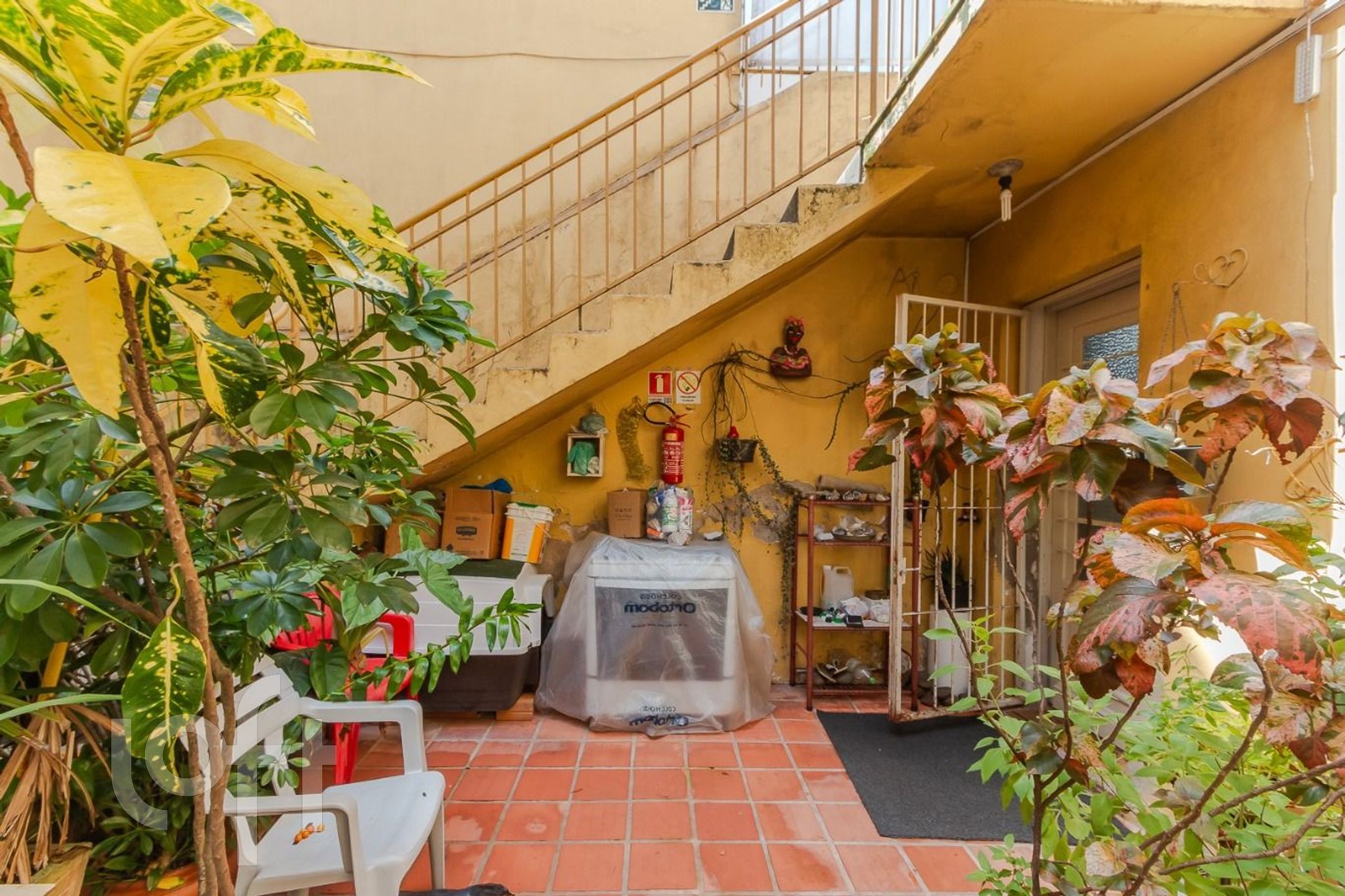 Imagem da propriedade 7