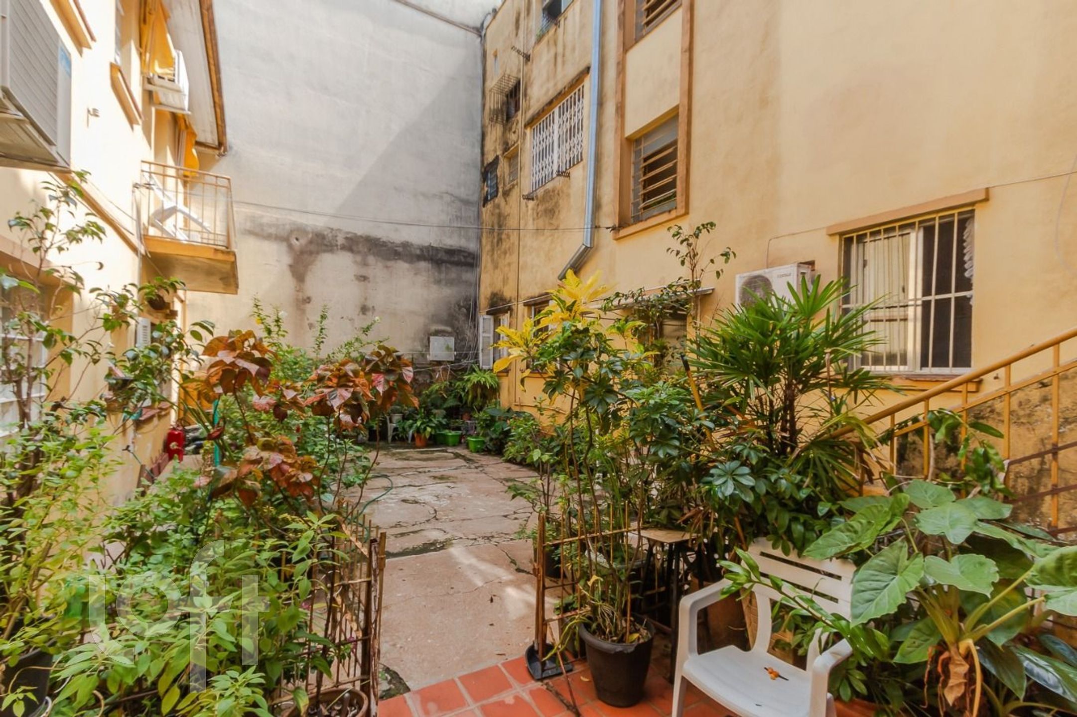 Imagem da propriedade 6