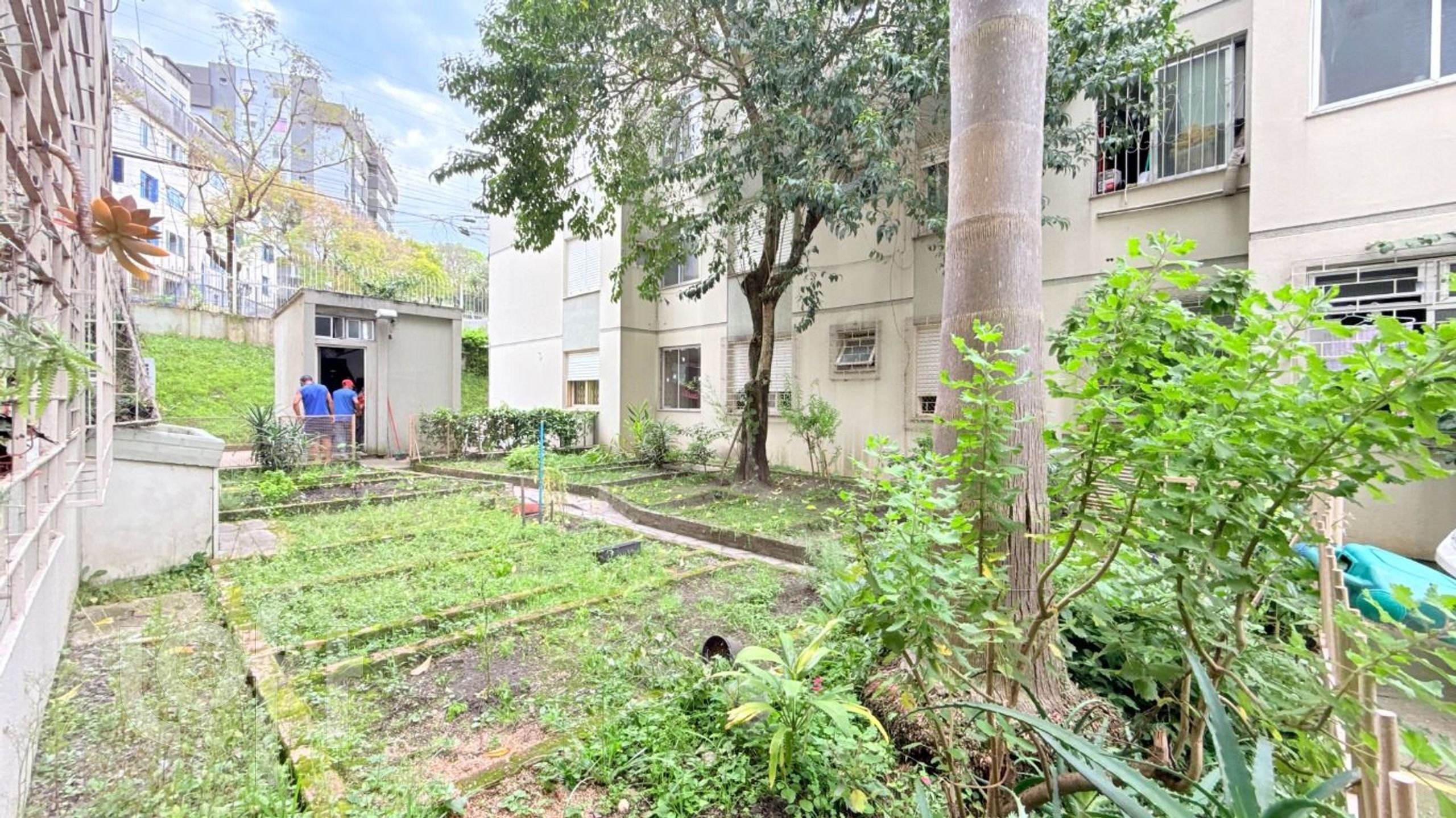 Imagem da propriedade 23