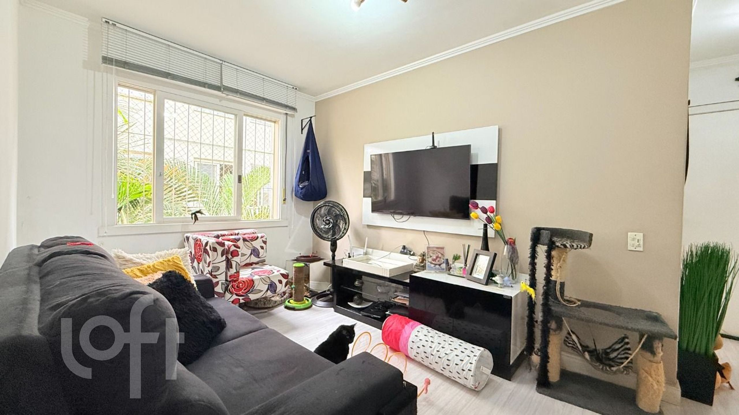 Imagem da propriedade 2