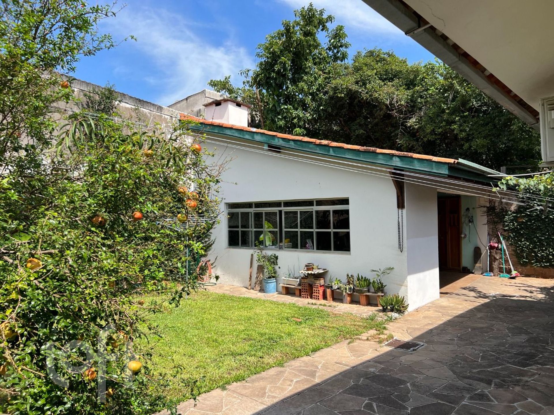 Imagem da propriedade 24