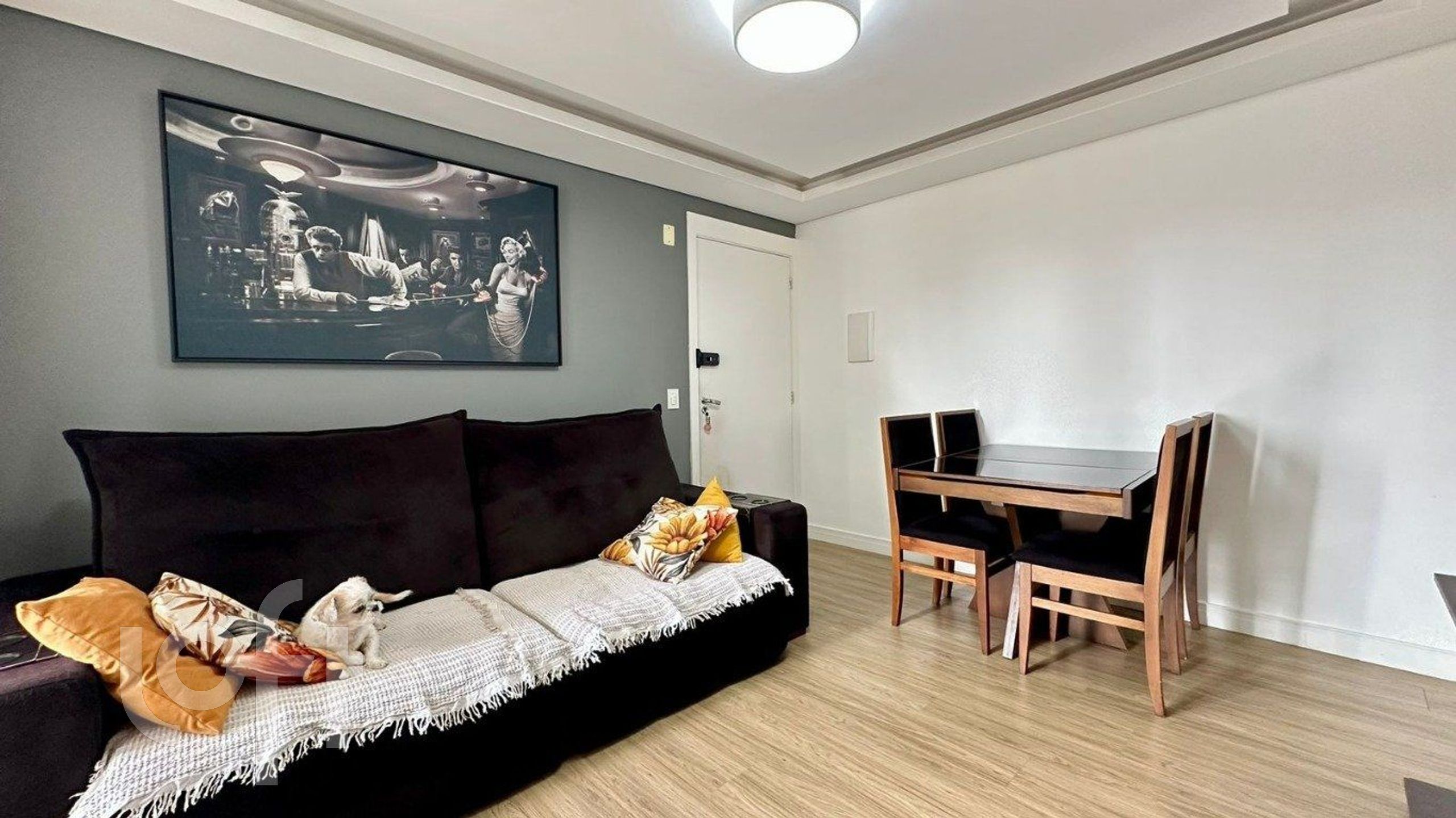 Imagem da propriedade 3