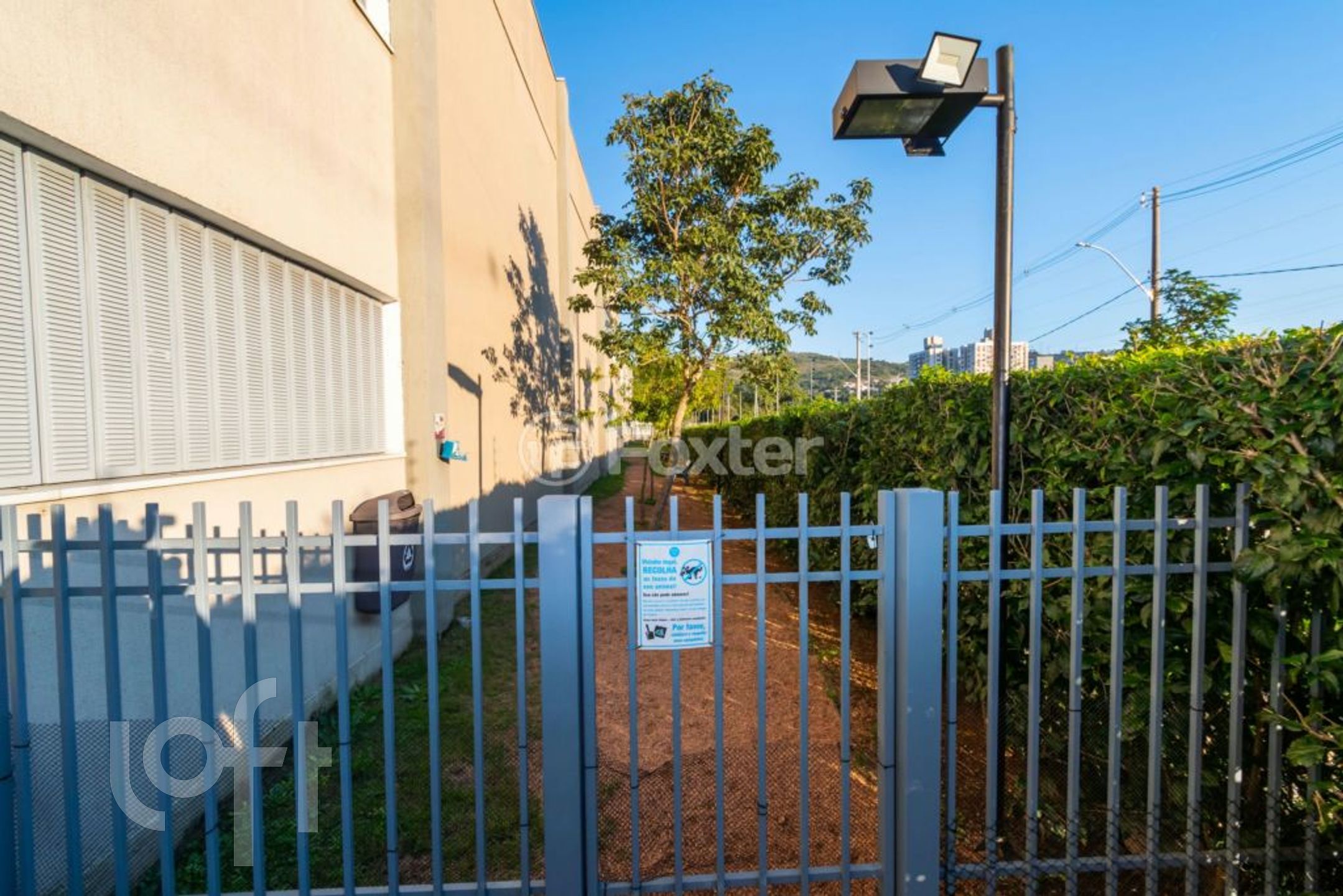 Imagem da propriedade 50