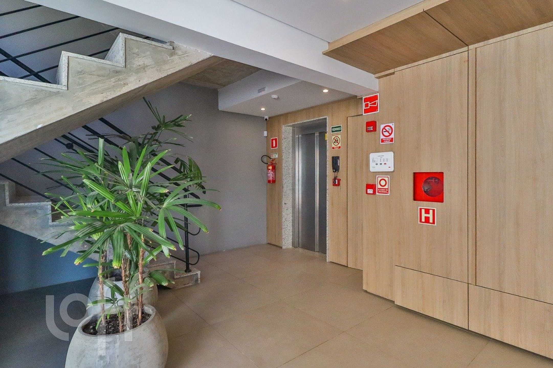 Imagem da propriedade 36