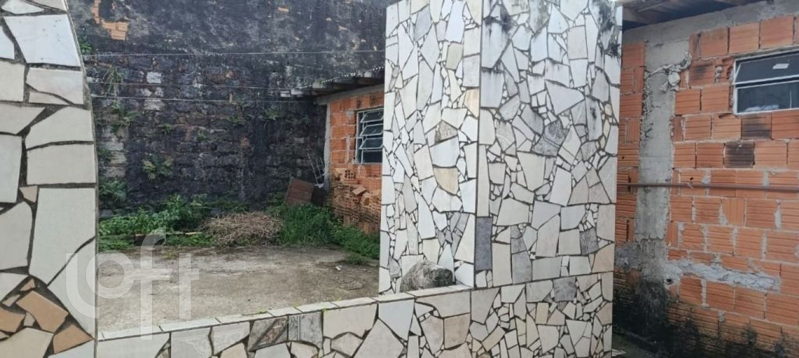 Imagem da propriedade 3
