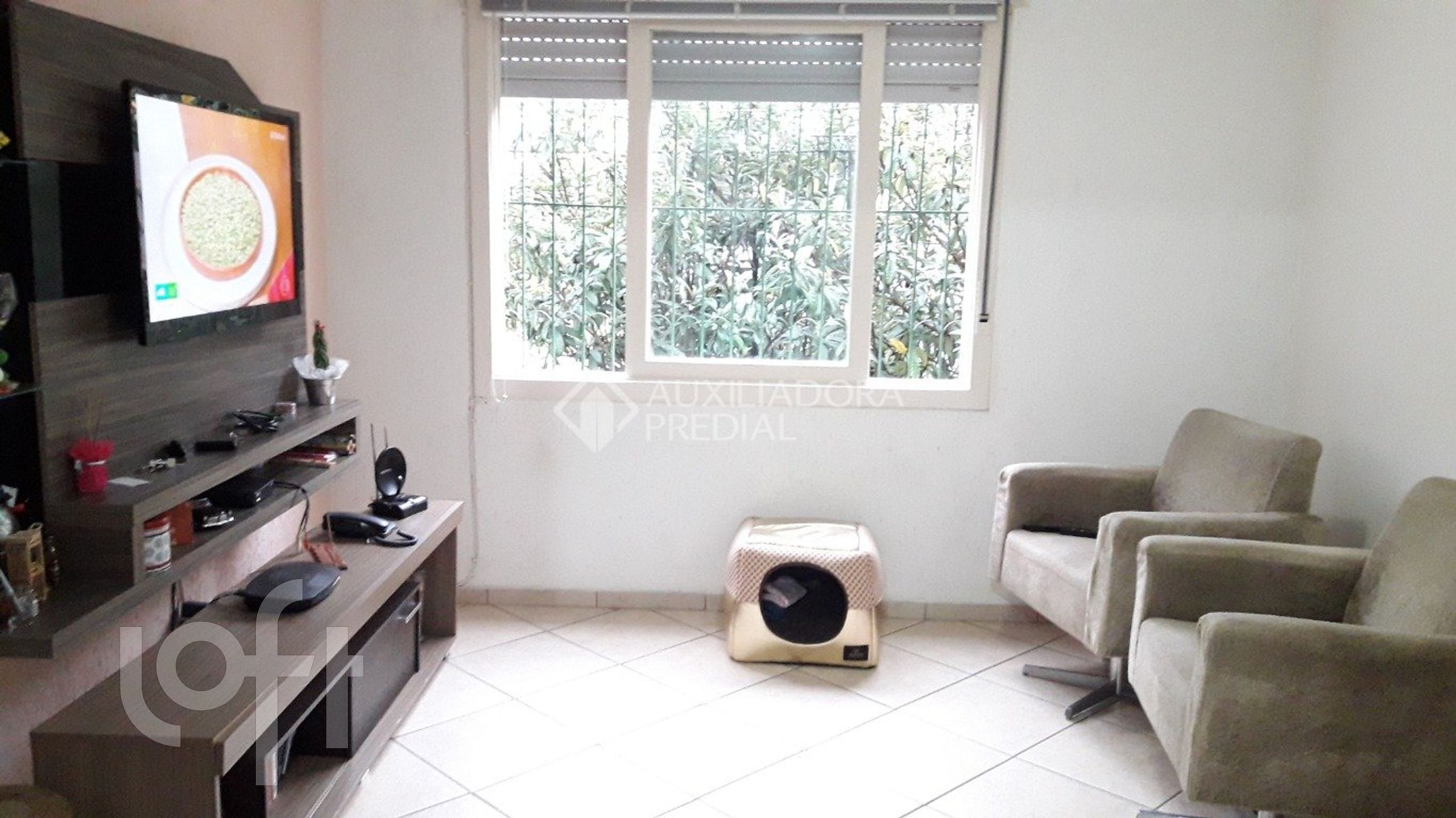 Imagem da propriedade 3