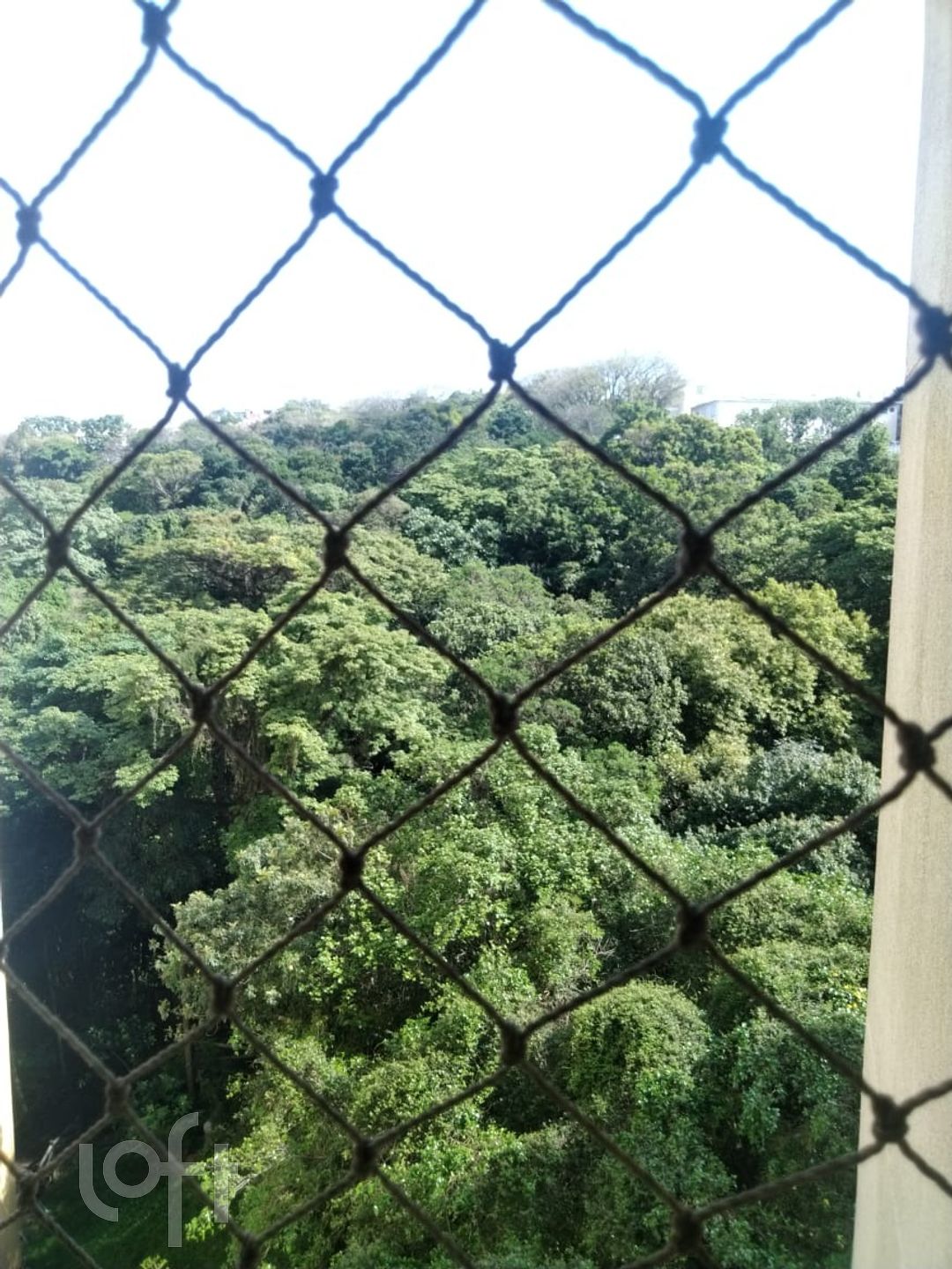 Imagem da propriedade 10