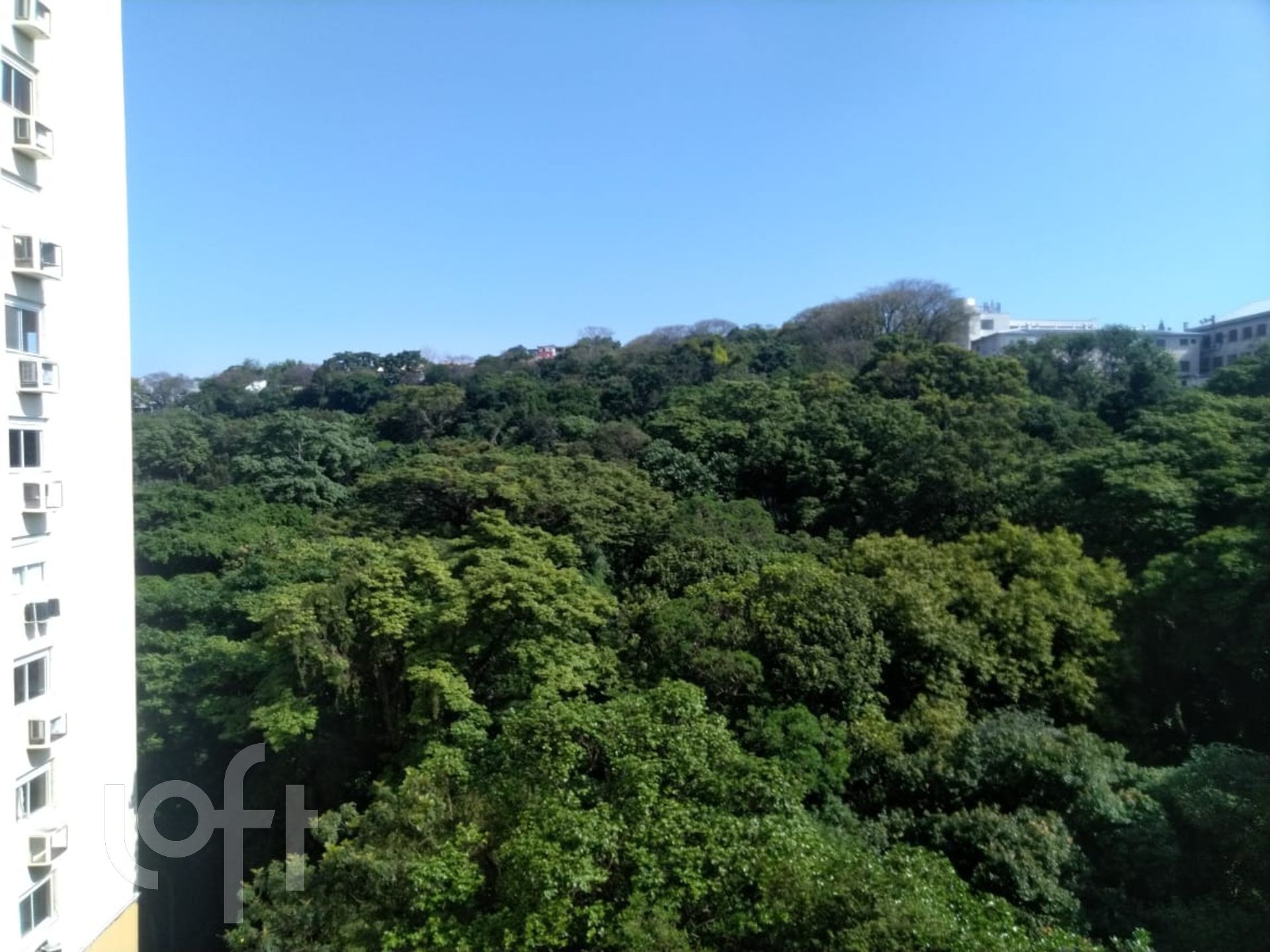 Imagem da propriedade 20