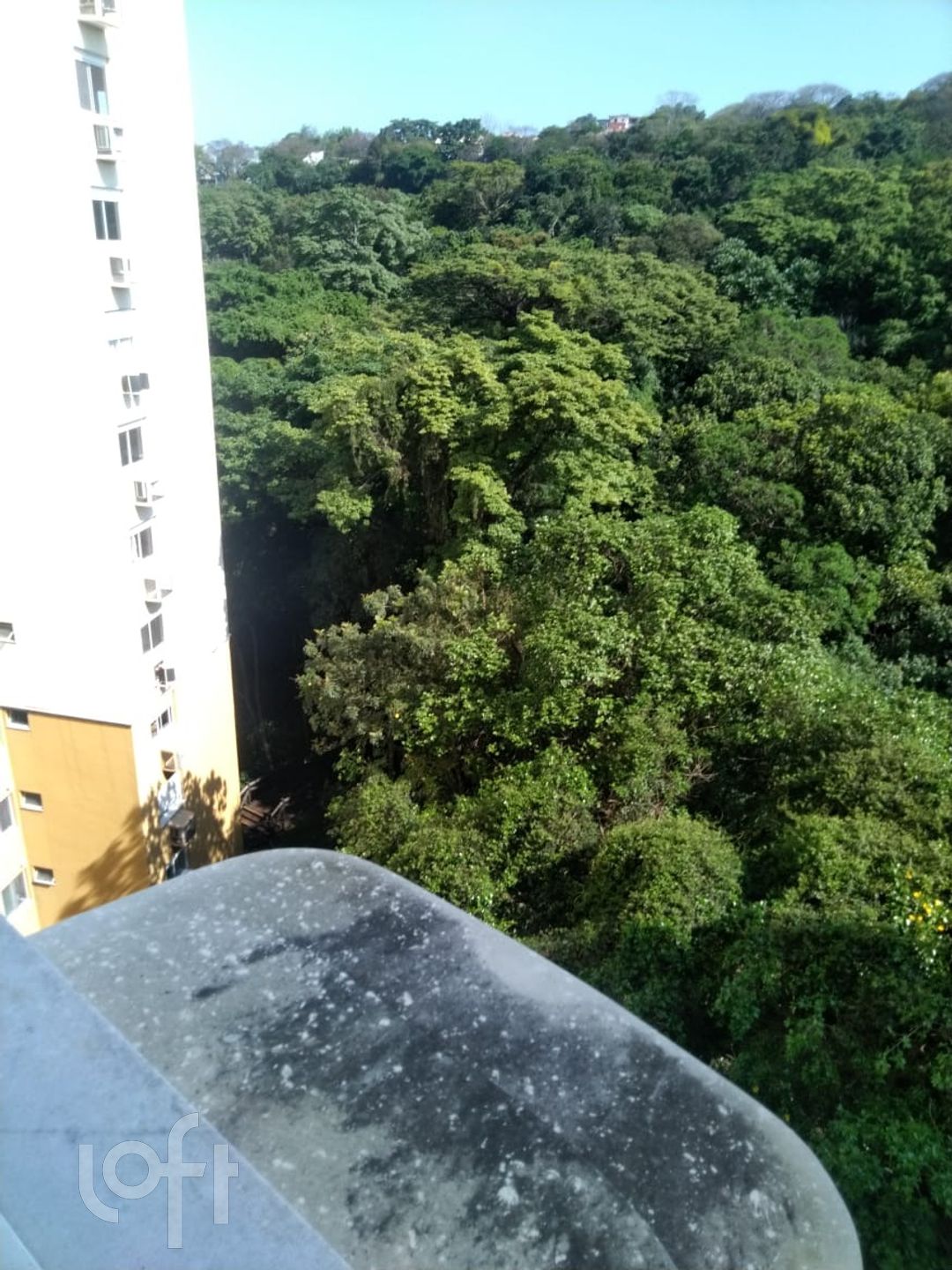 Imagem da propriedade 19