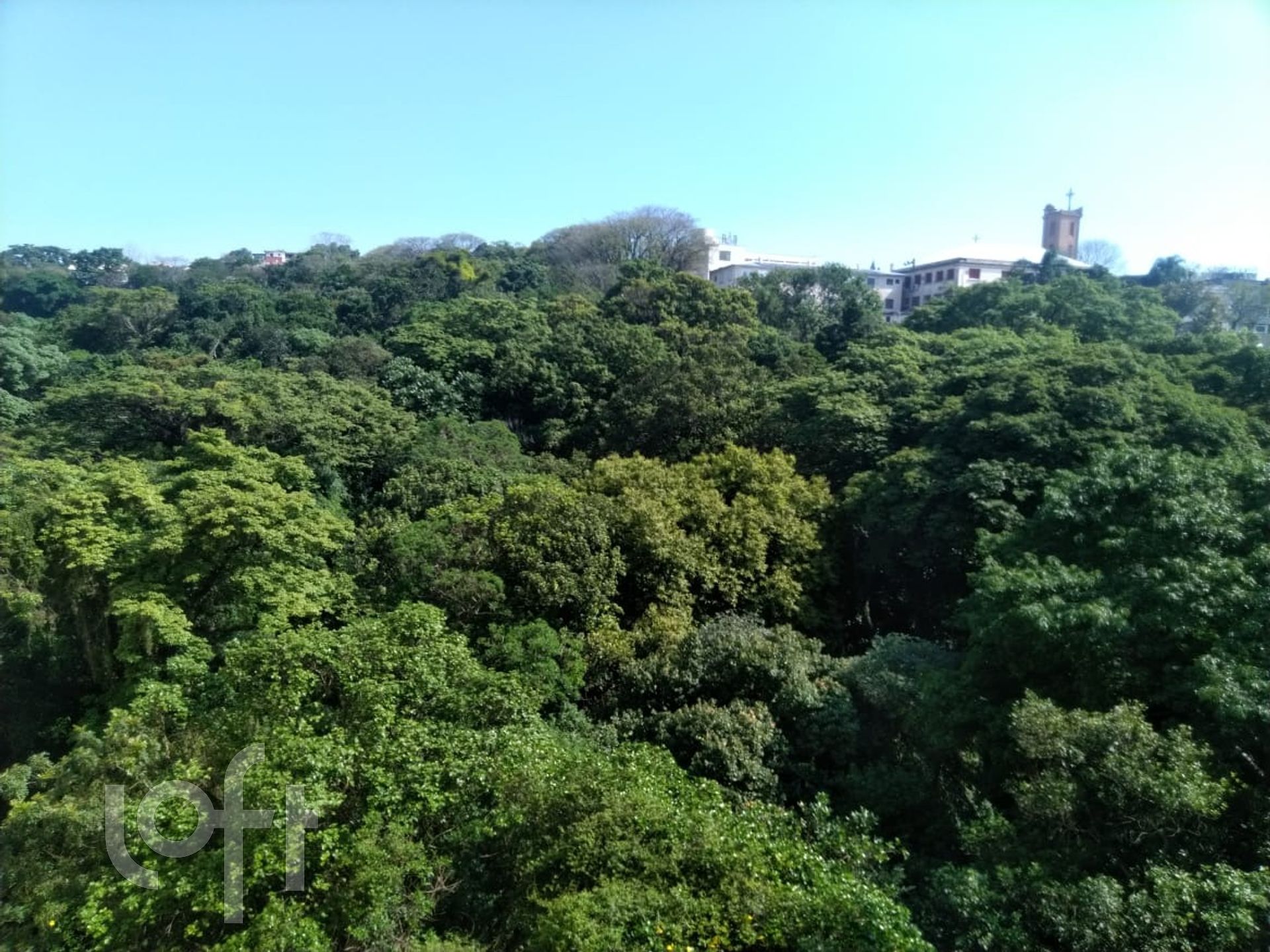 Imagem da propriedade 18