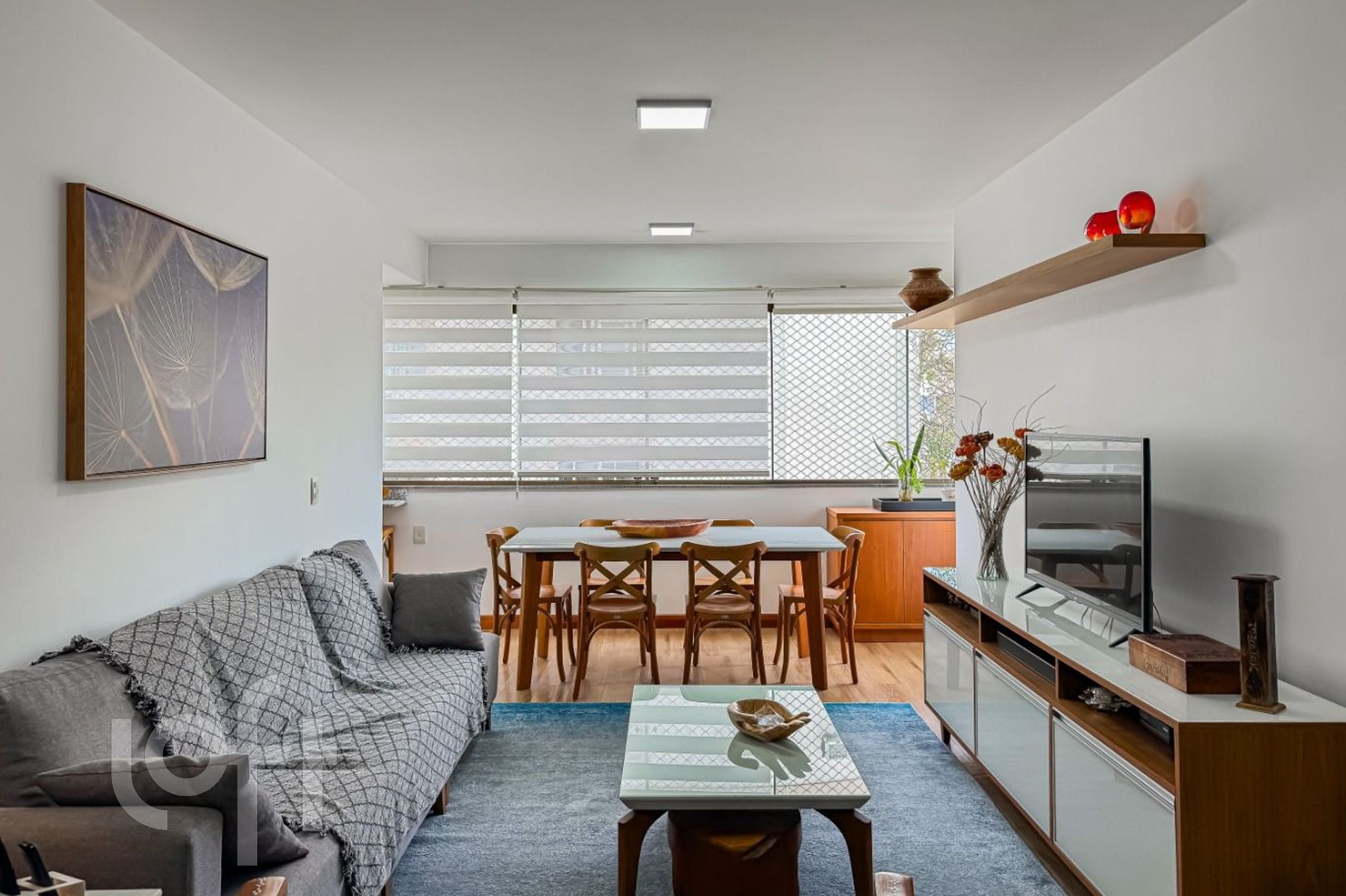 Imagem da propriedade 7