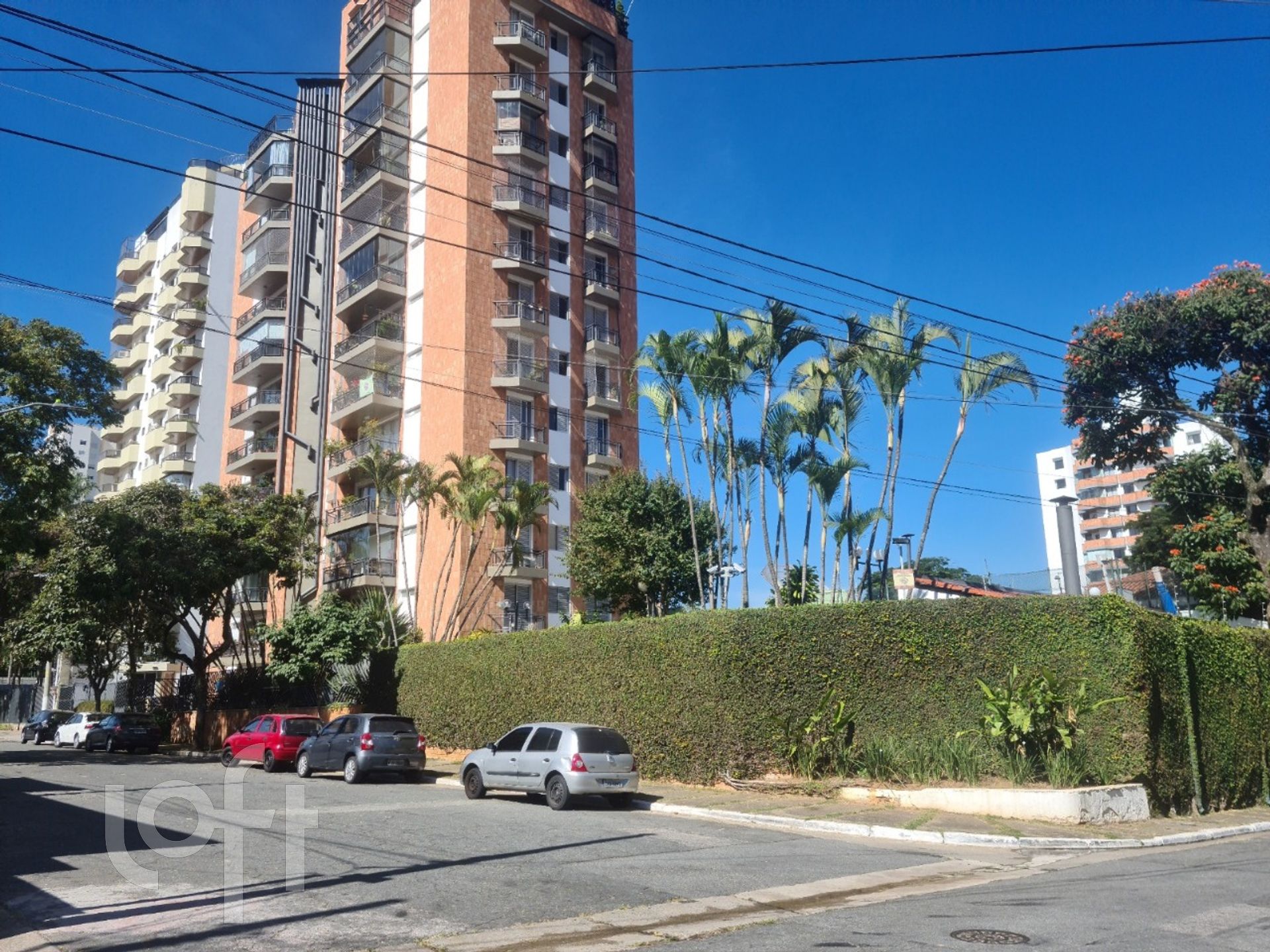 Imagem da propriedade 52
