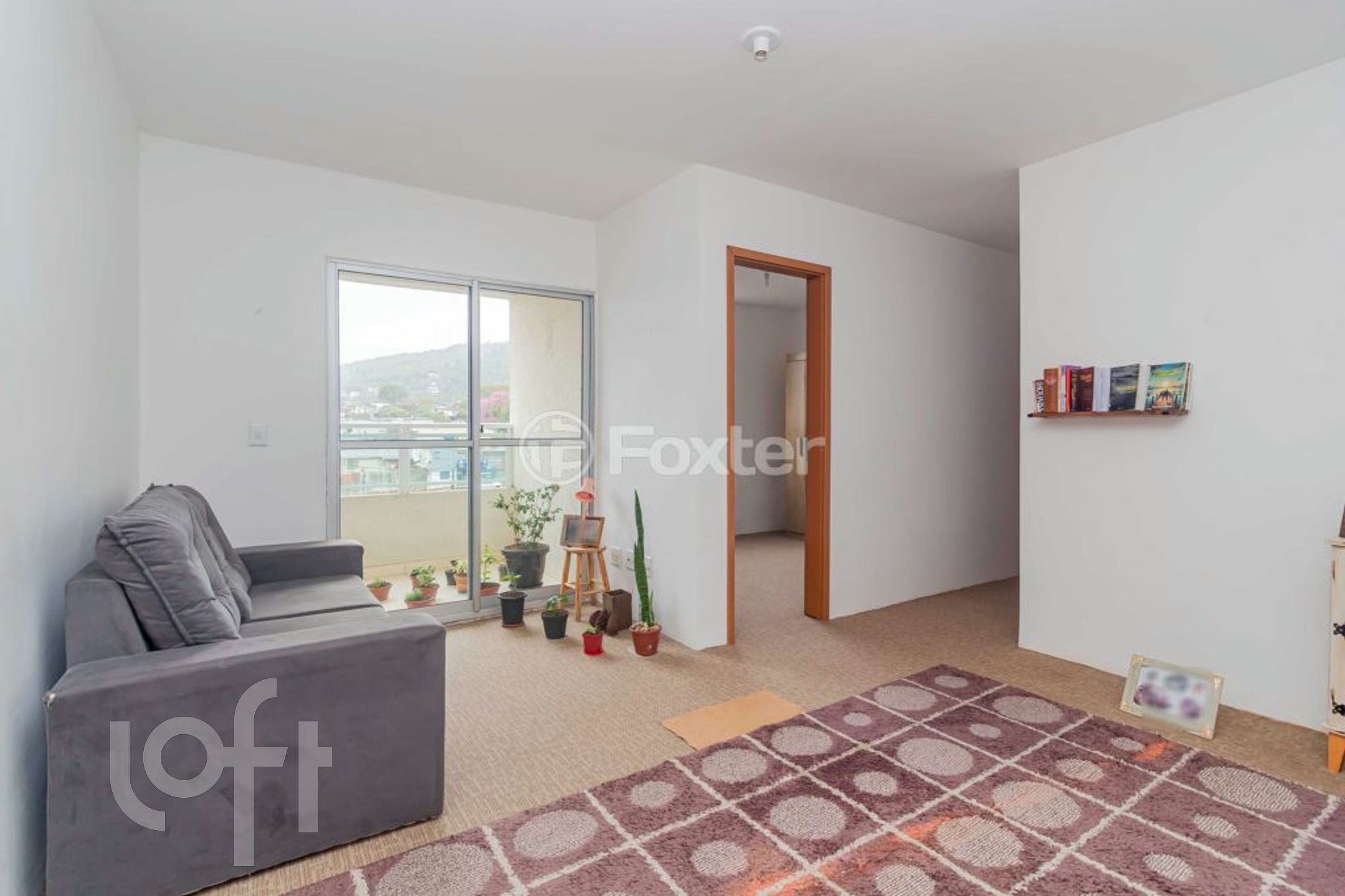 Imagem da propriedade 4