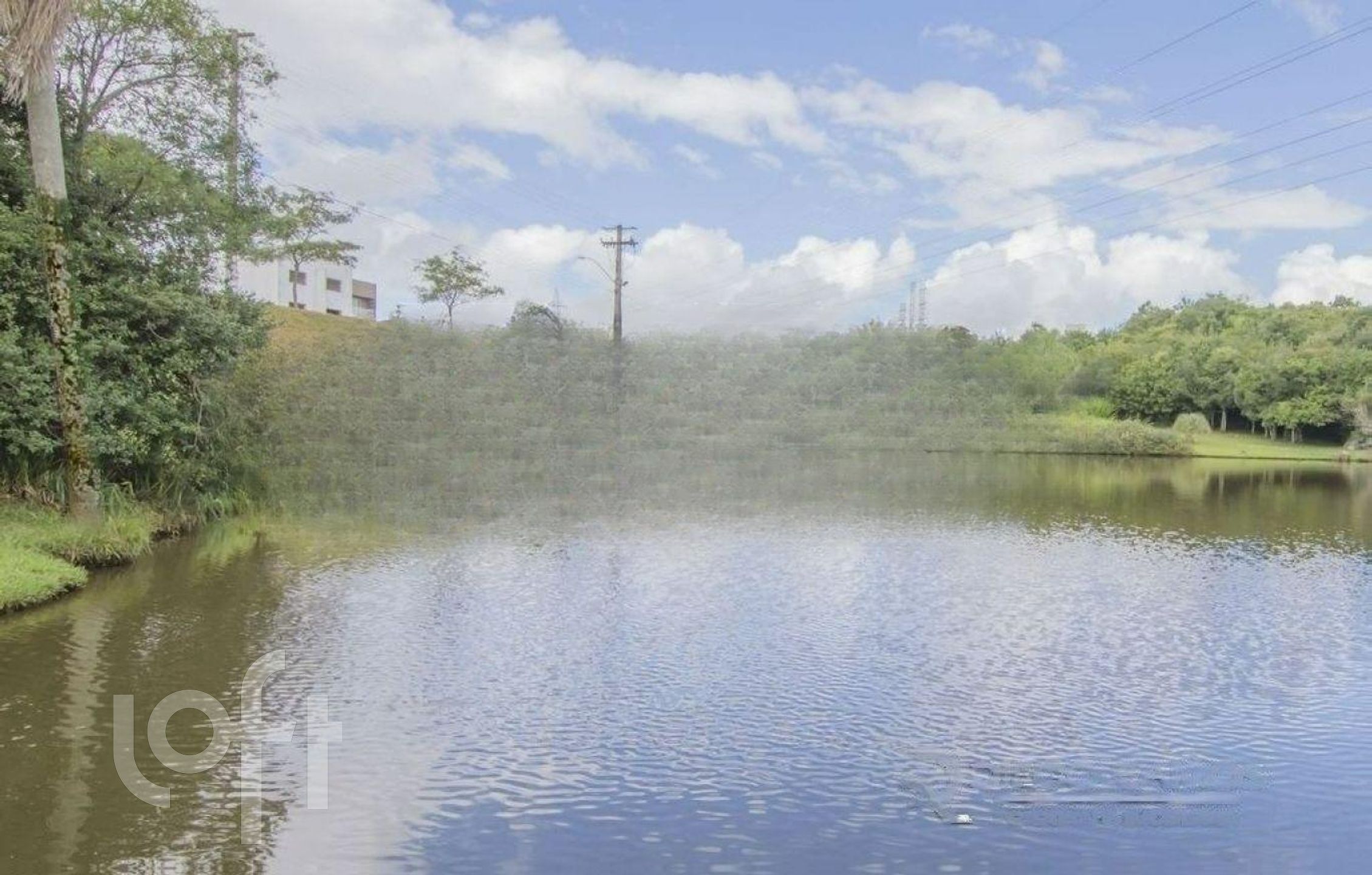 Imagem da propriedade 9