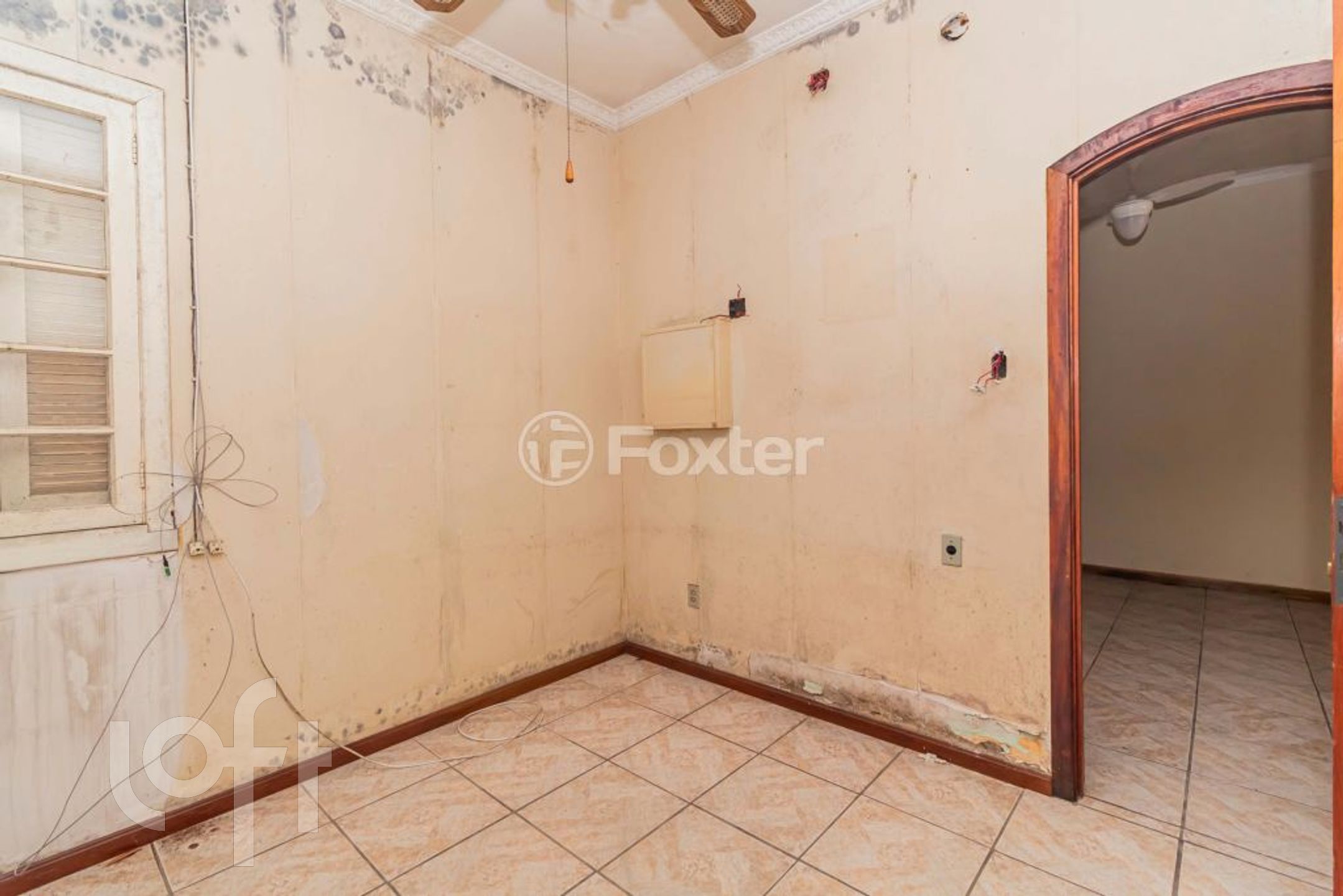 Imagem da propriedade 11