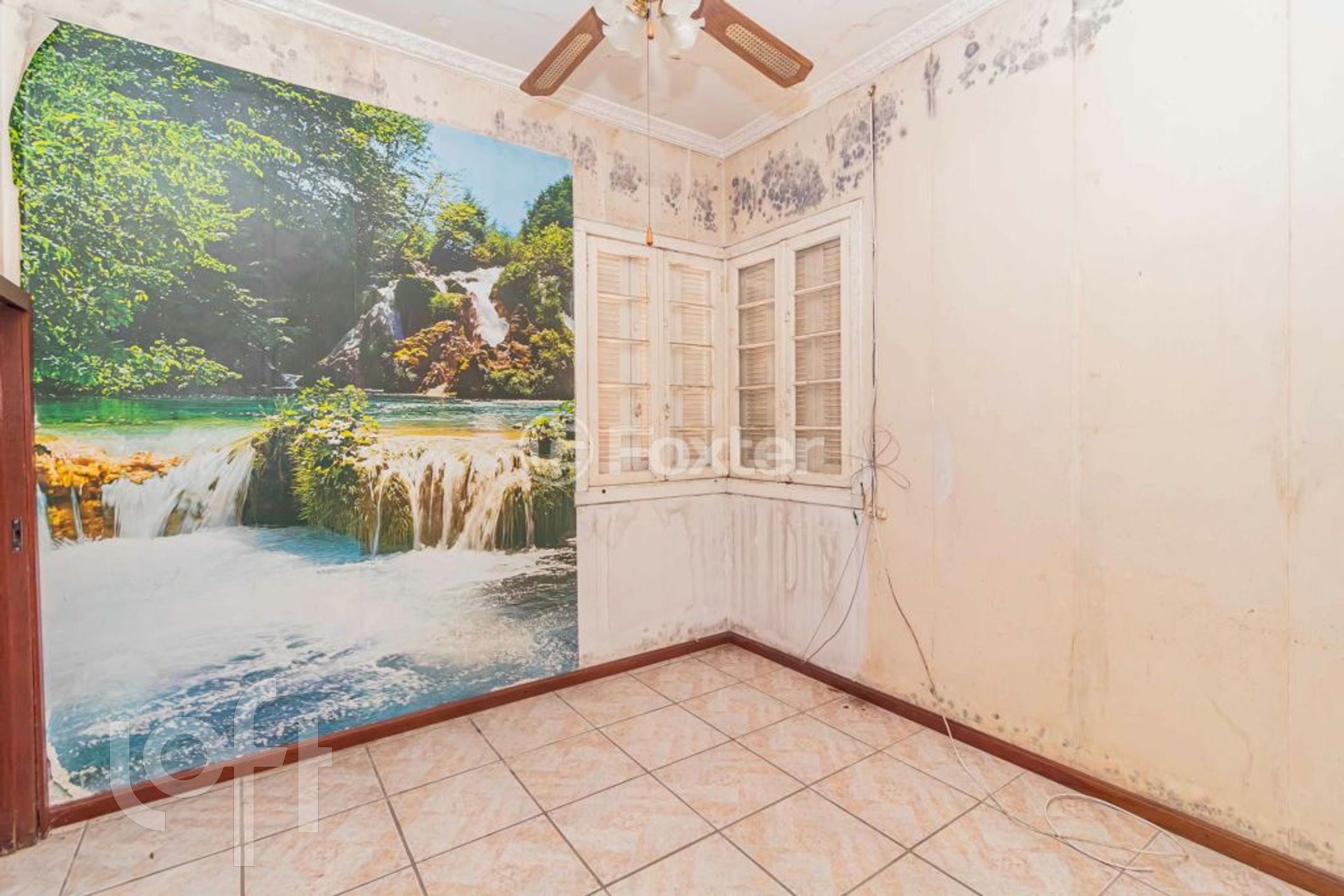 Imagem da propriedade 8