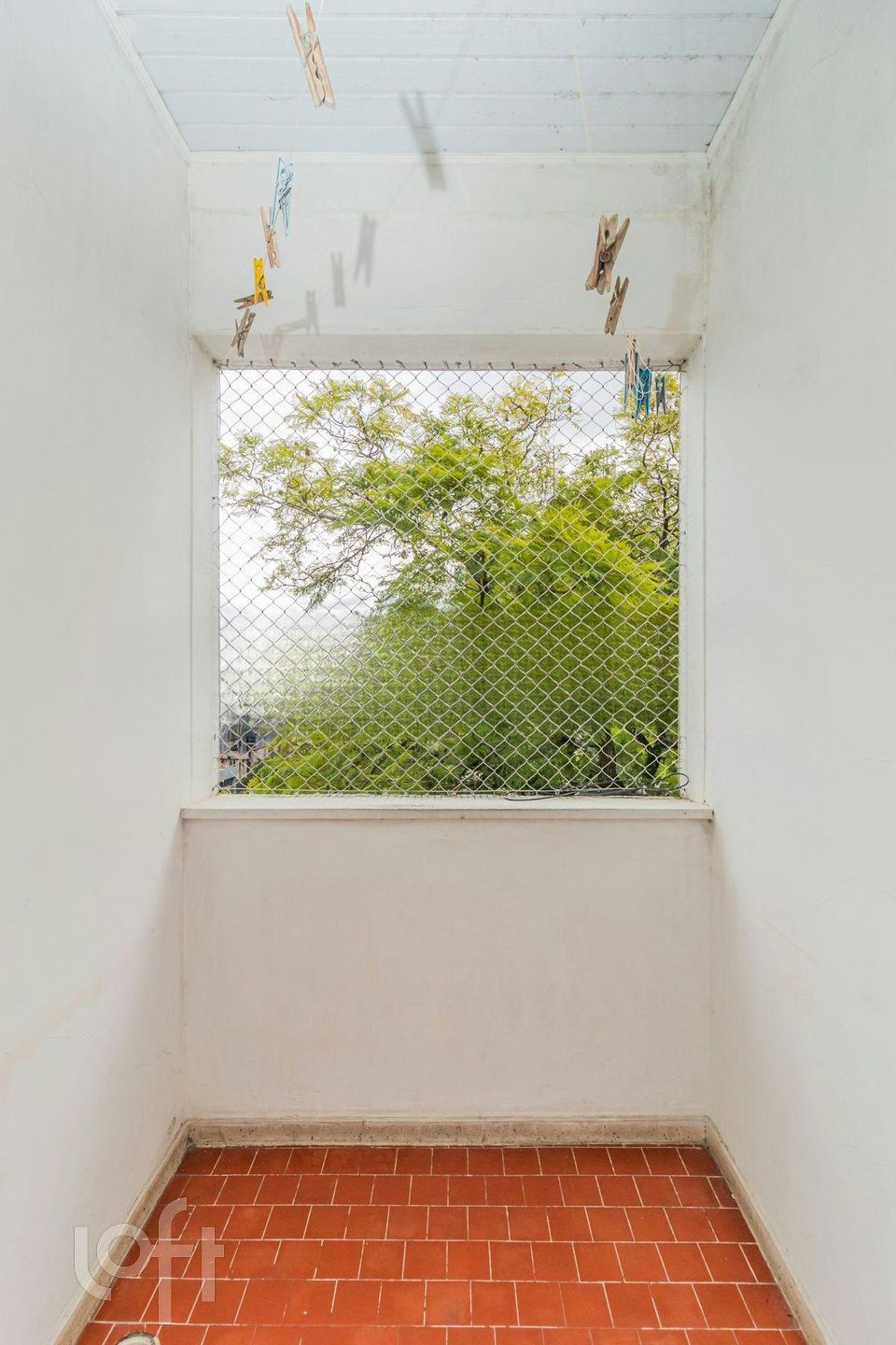 Imagem da propriedade 4