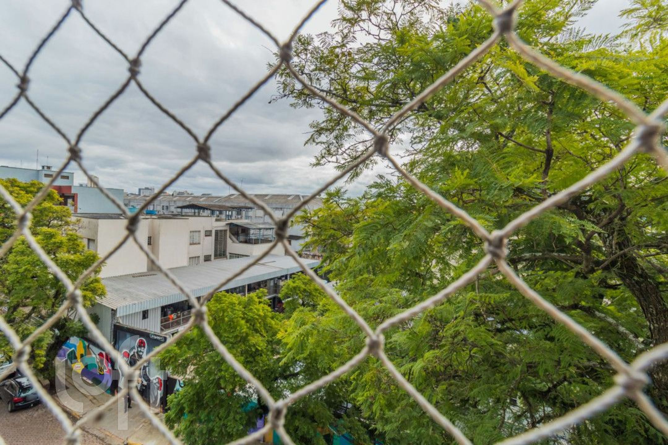 Imagem da propriedade 5