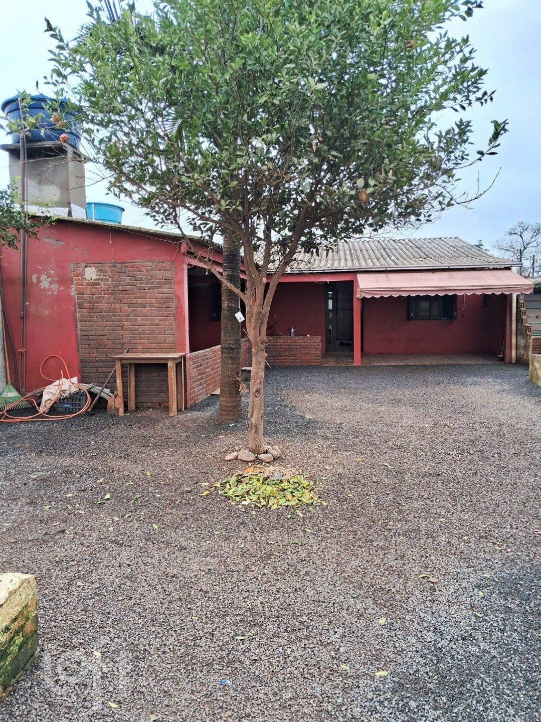 Imagem da propriedade 3