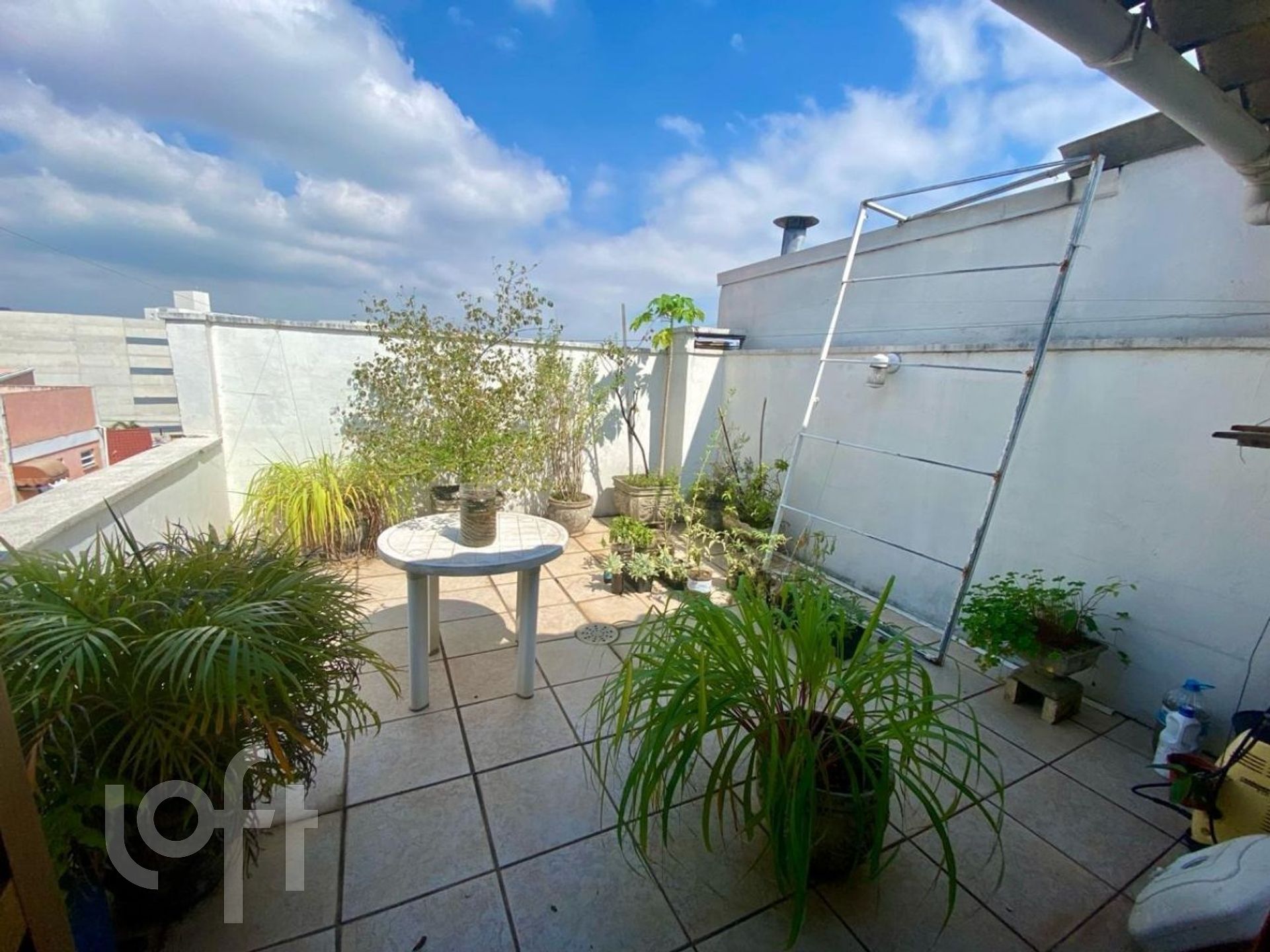 Imagem da propriedade 3