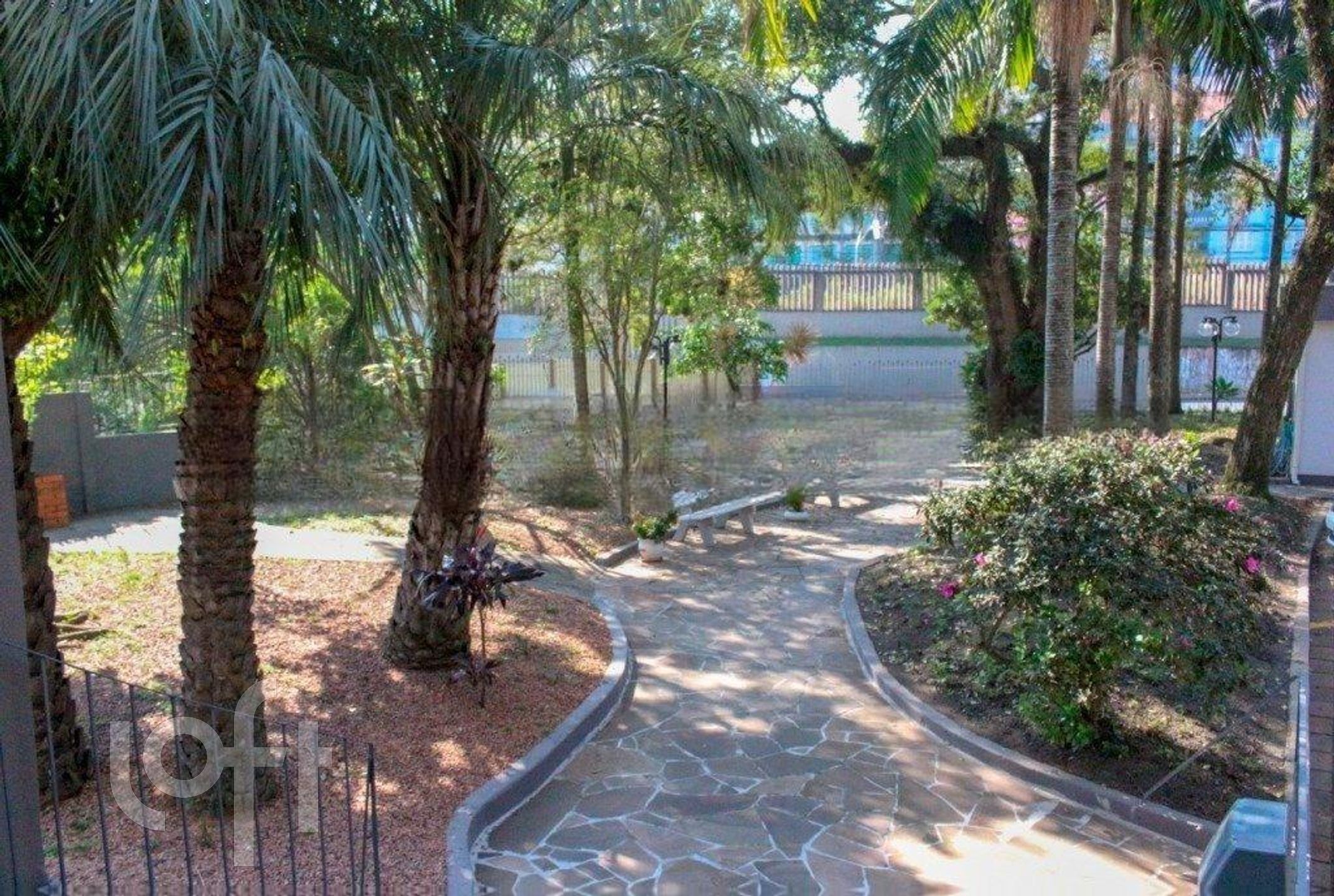 Imagem da propriedade 19